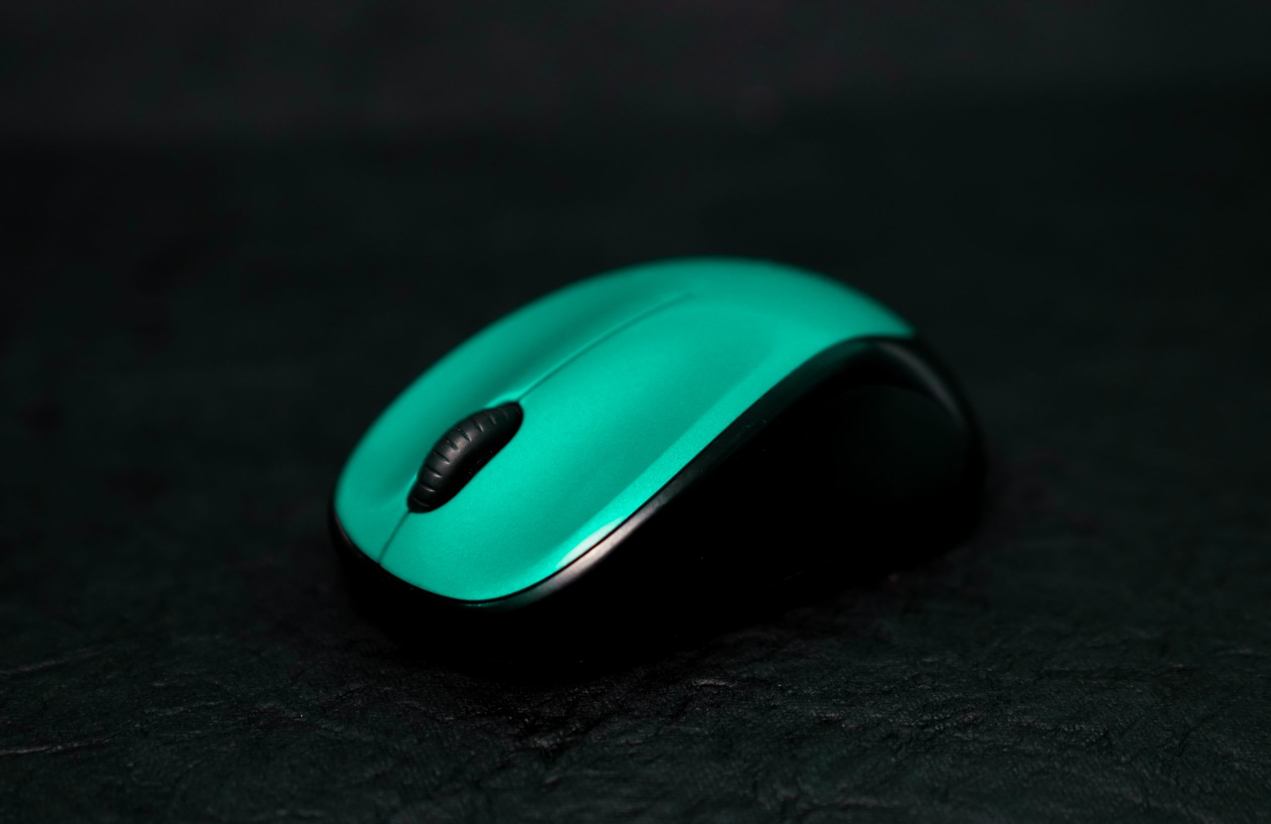 A computer mouse