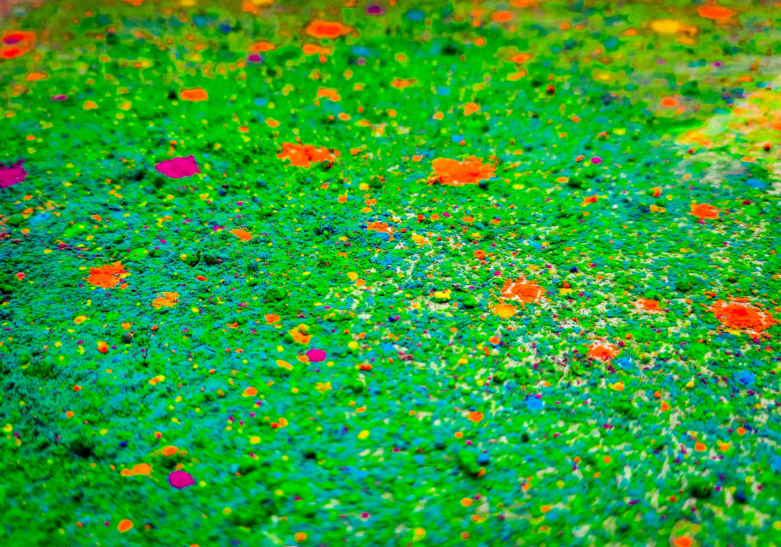 Holi colors mixed in a water resource