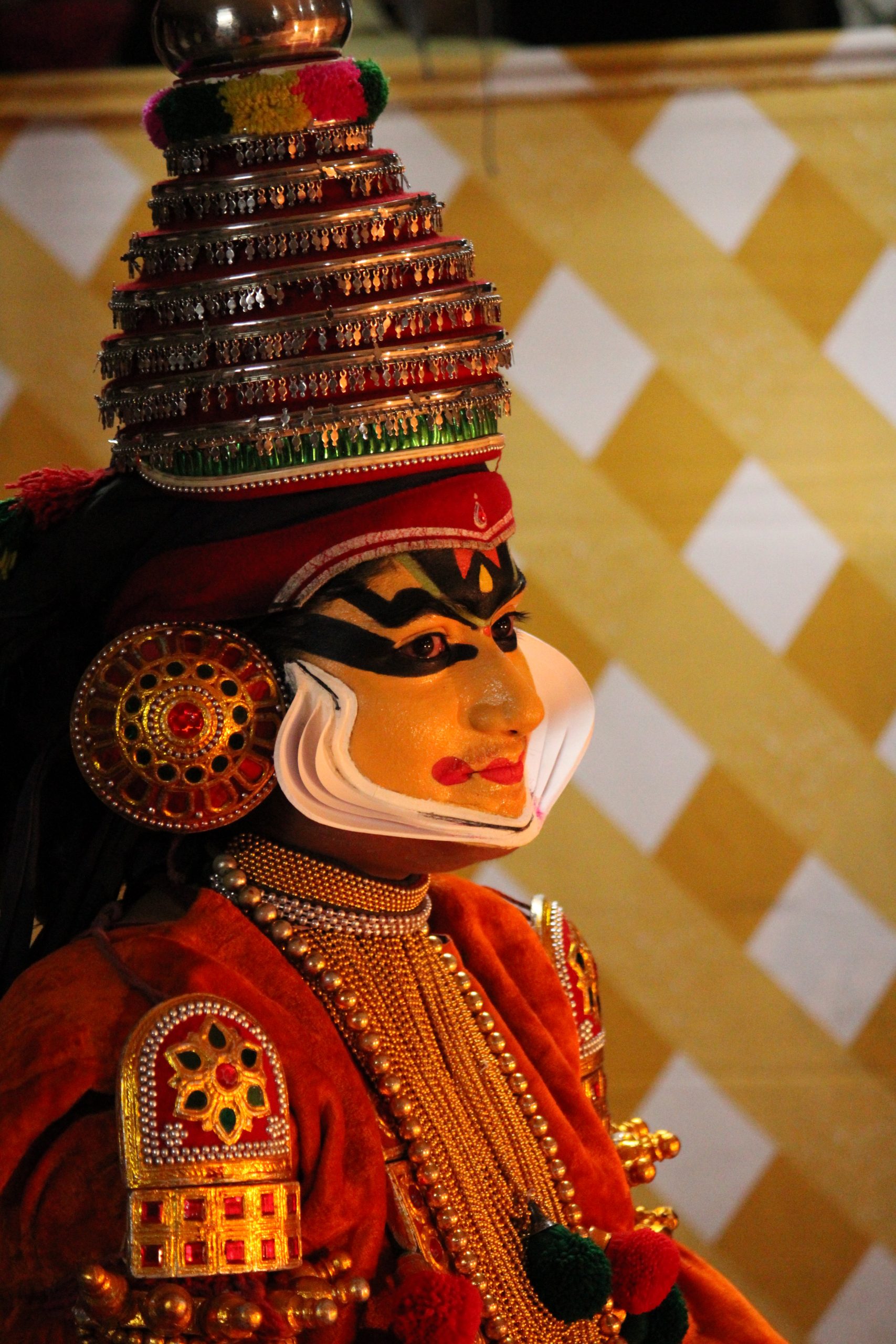 Kathakali artist