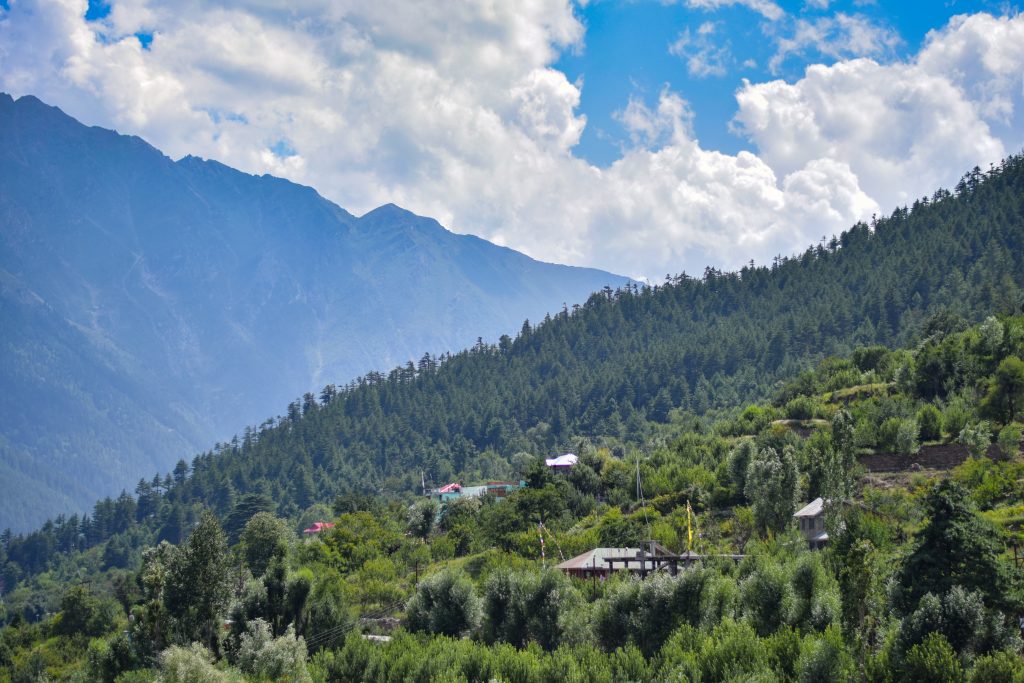 Trees and greenery of mountain slope - Free Image by Amit Dabas on ...