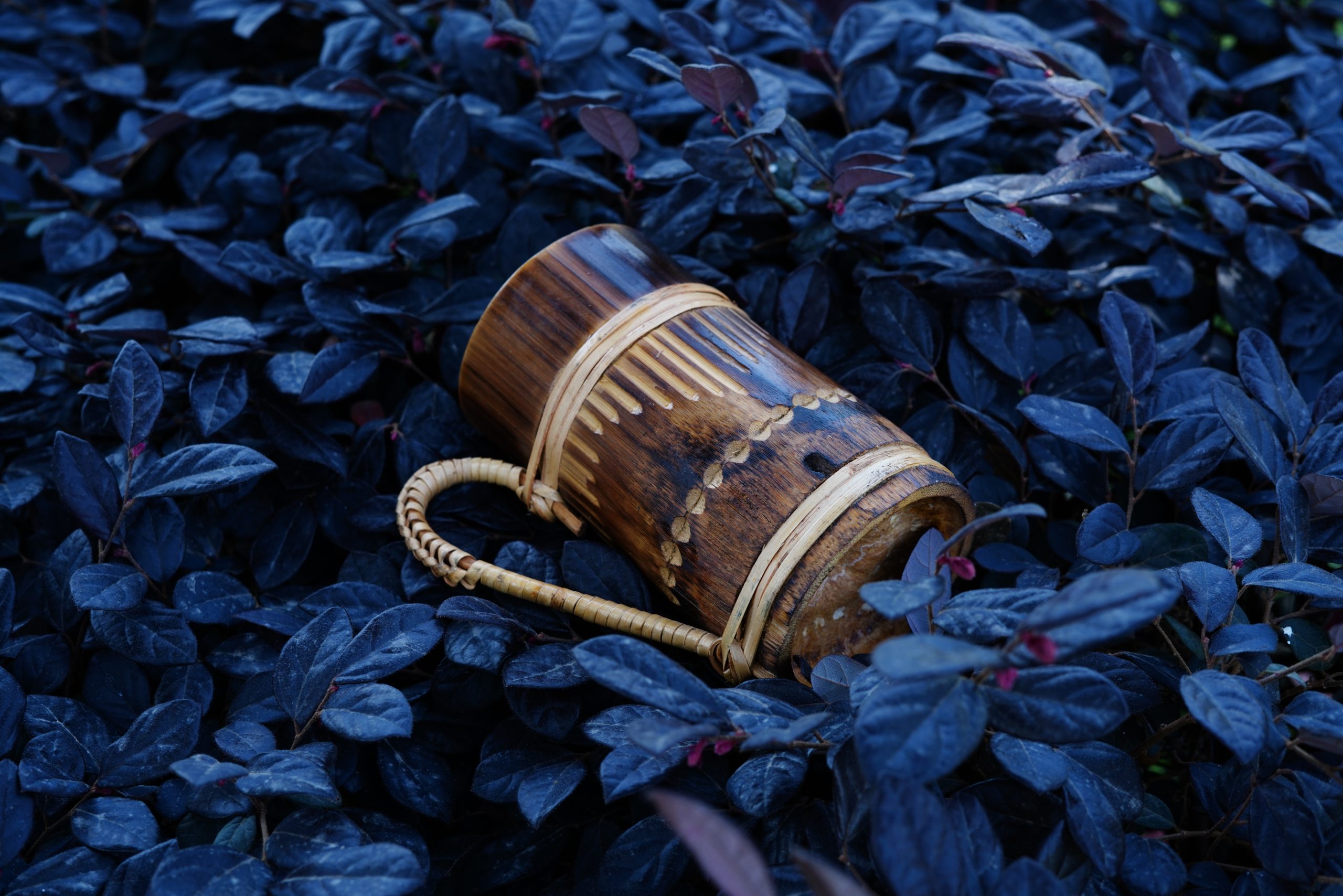 A wooden mug on a plant leaves