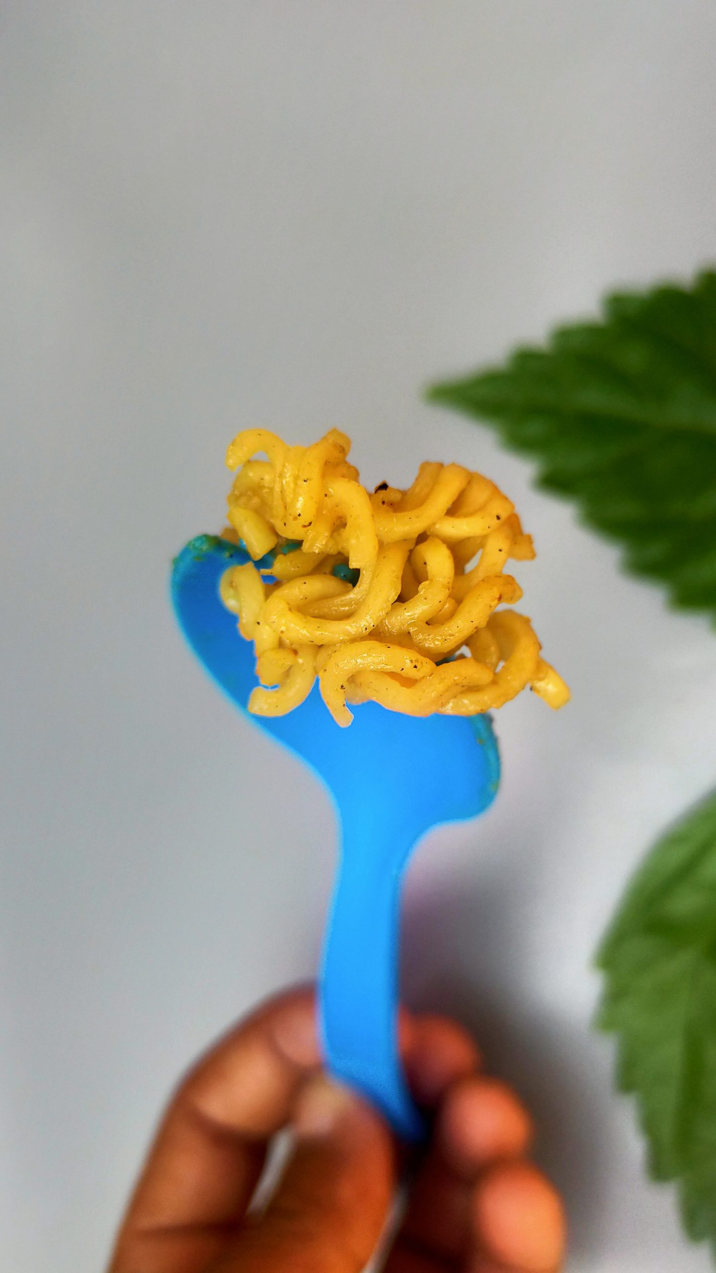 Noodles on a spoon