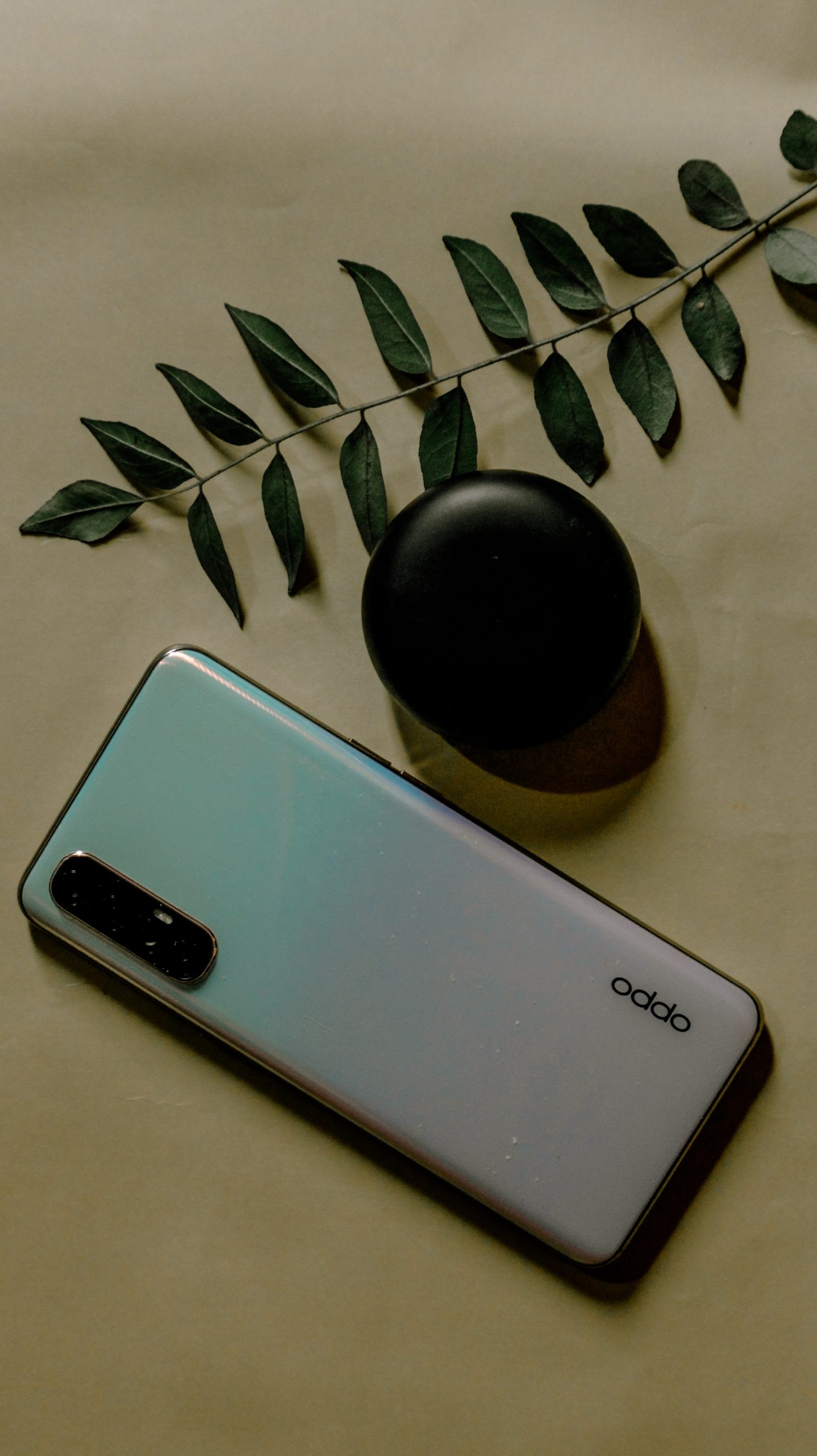 Oppo mobile and plant leaf