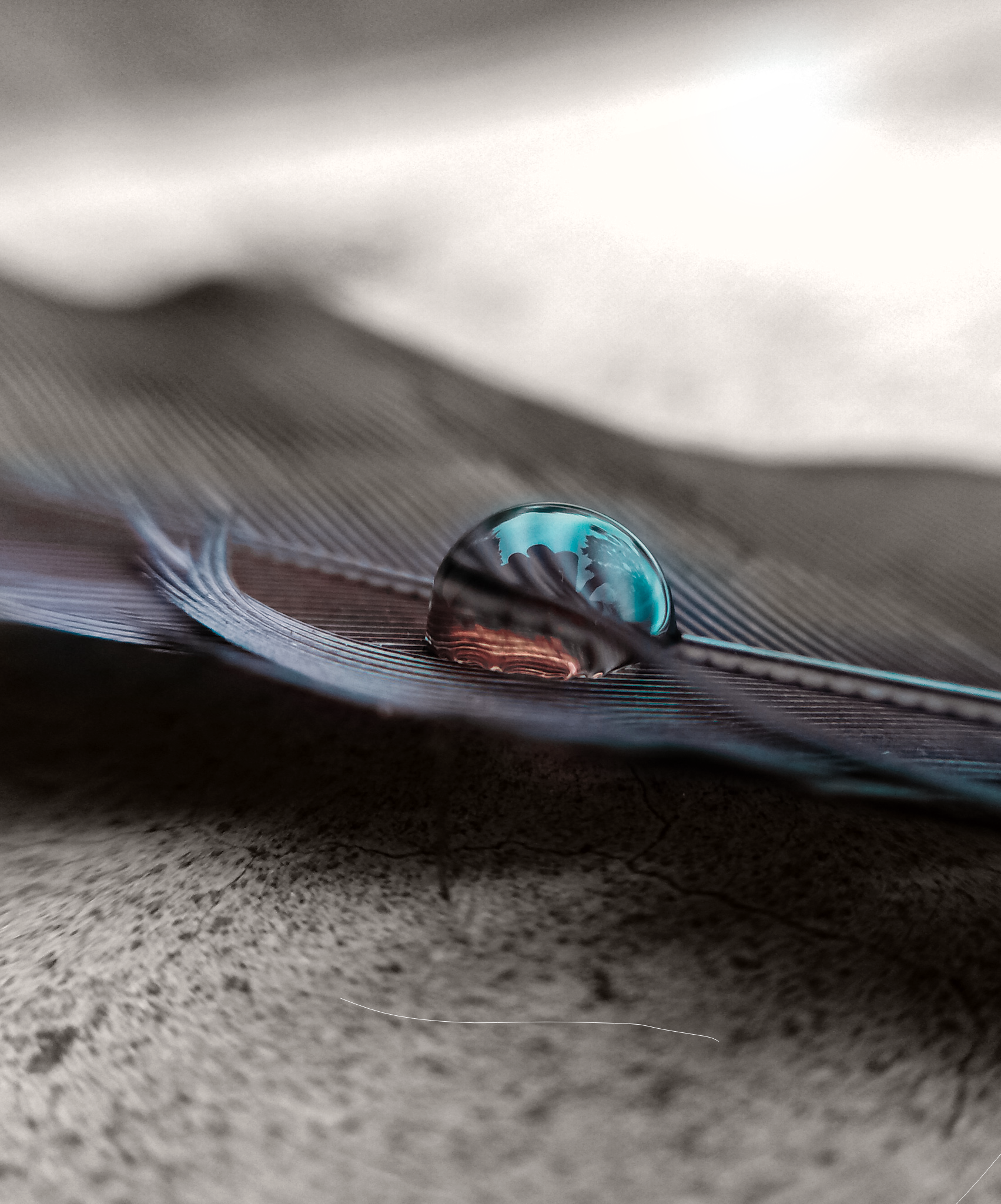 Drop on feather