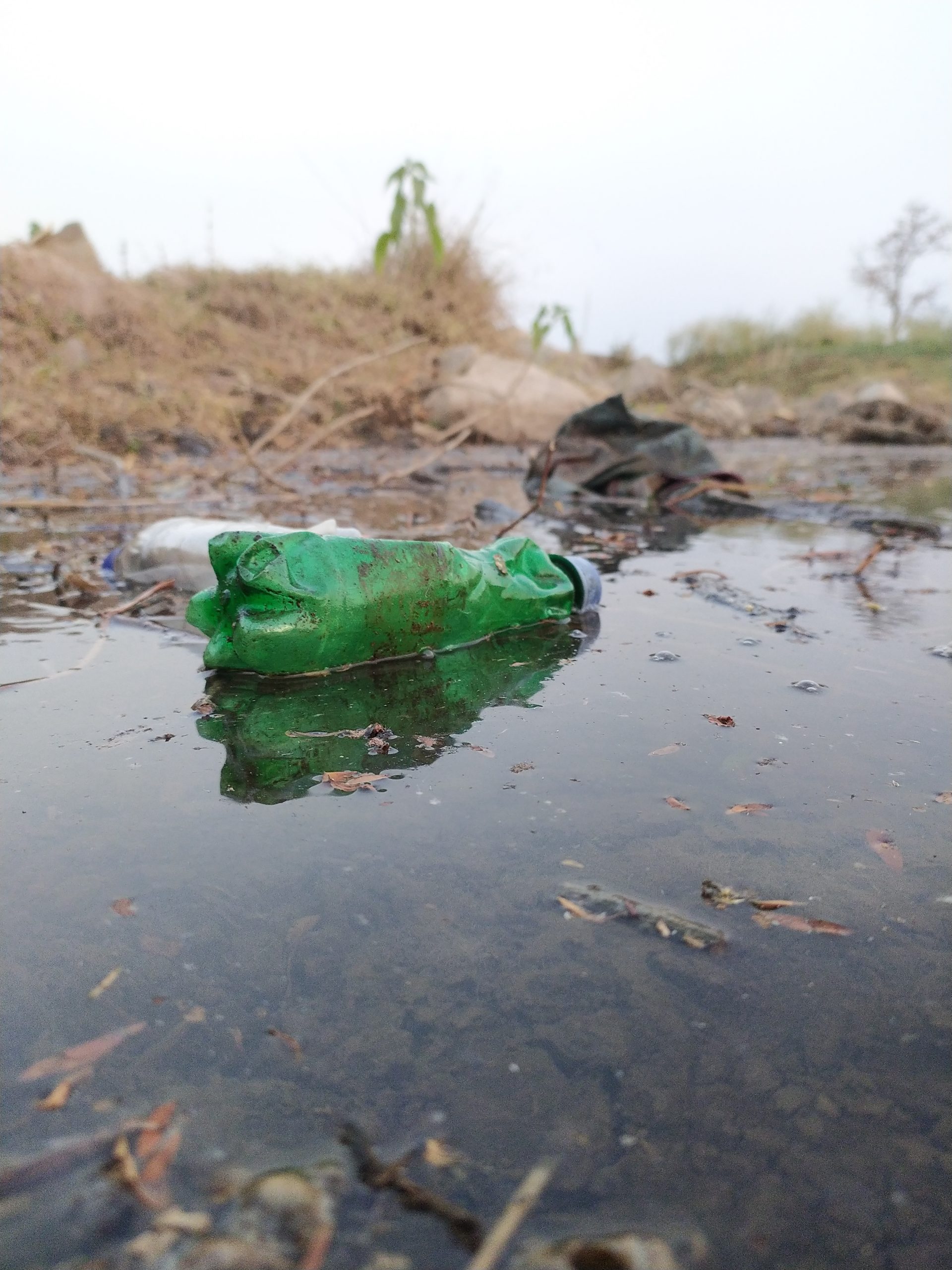 Plastic bottle in water