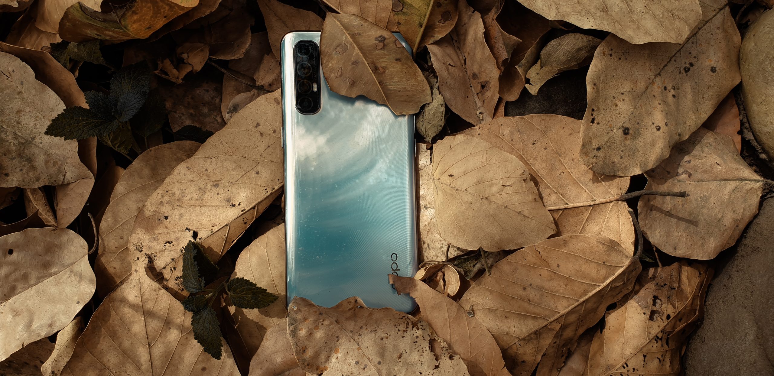 A phone fallen on dry leaves
