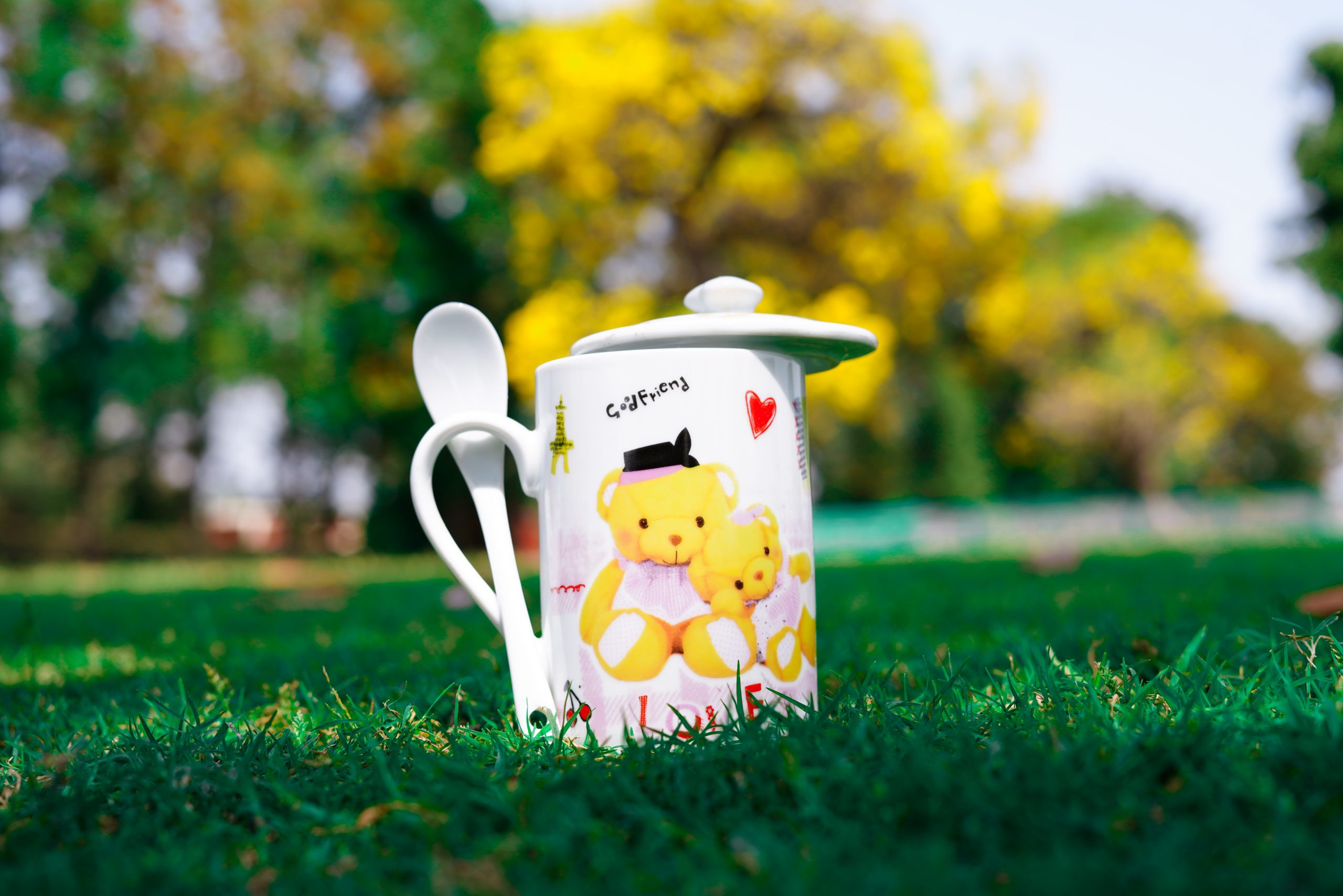 Teddy mug on the grass