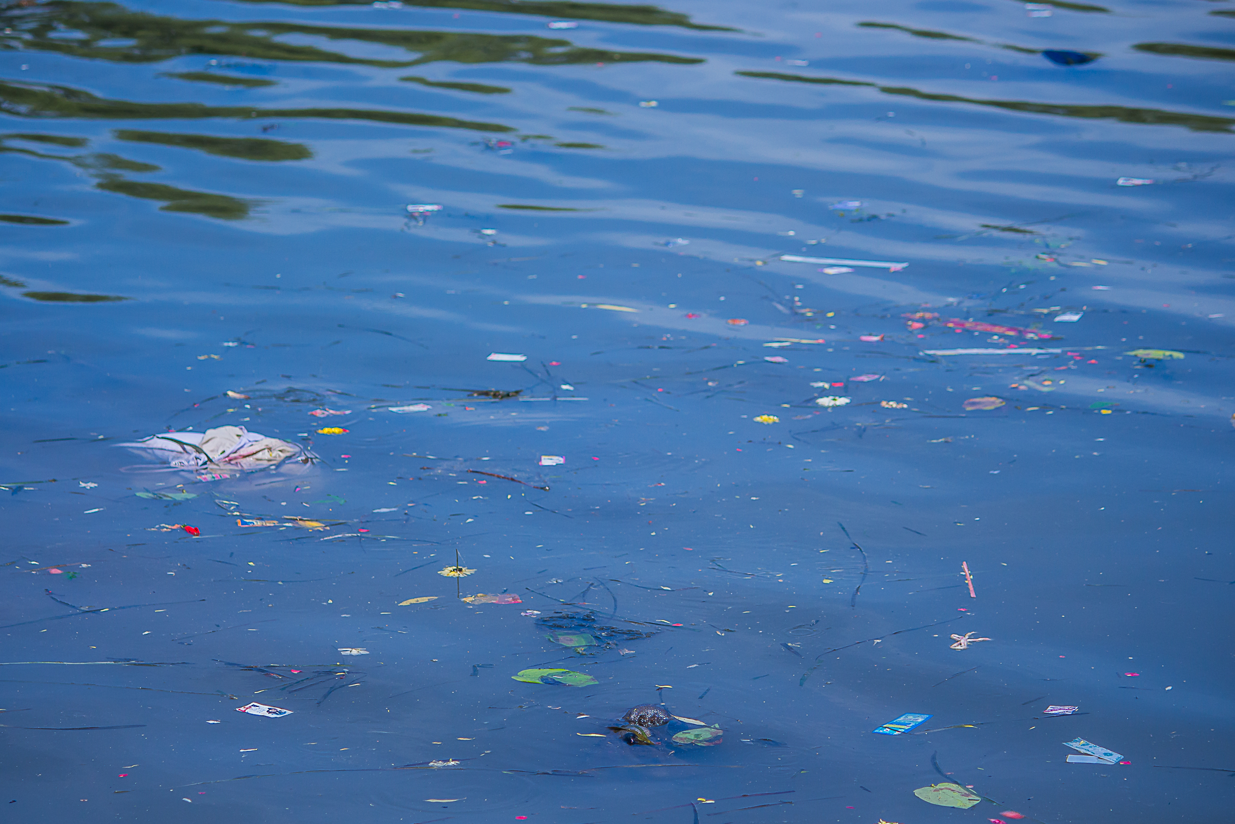 Waste material floating in river water