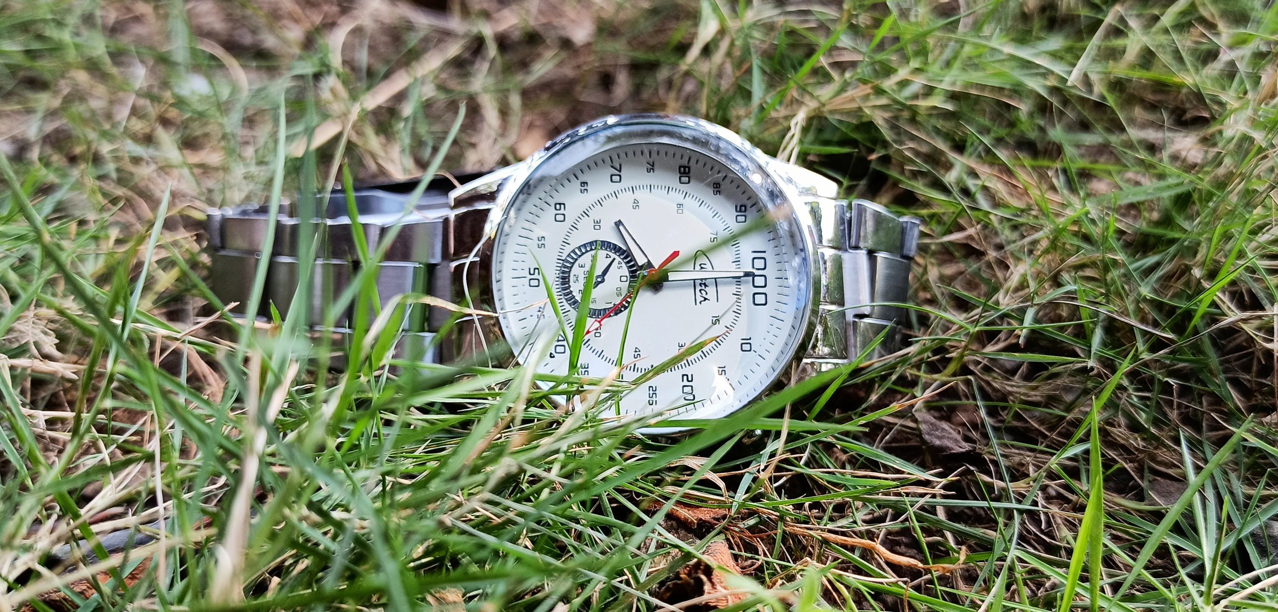 Watch in the grass
