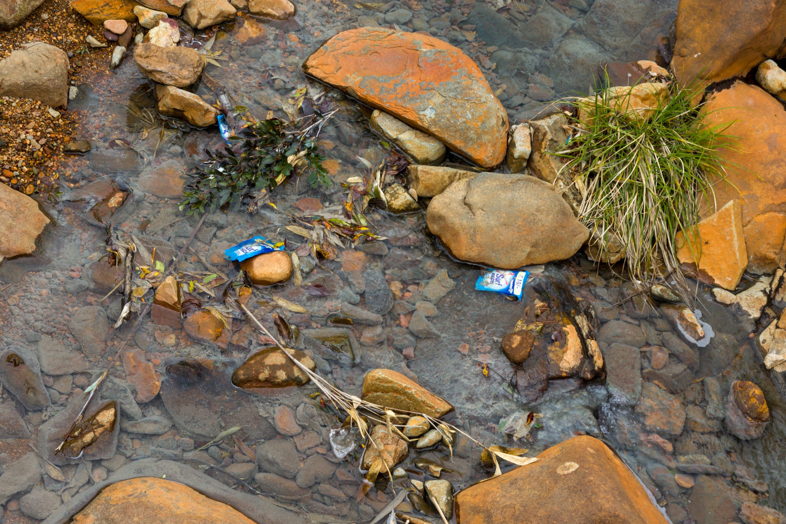 Water pollution in the river