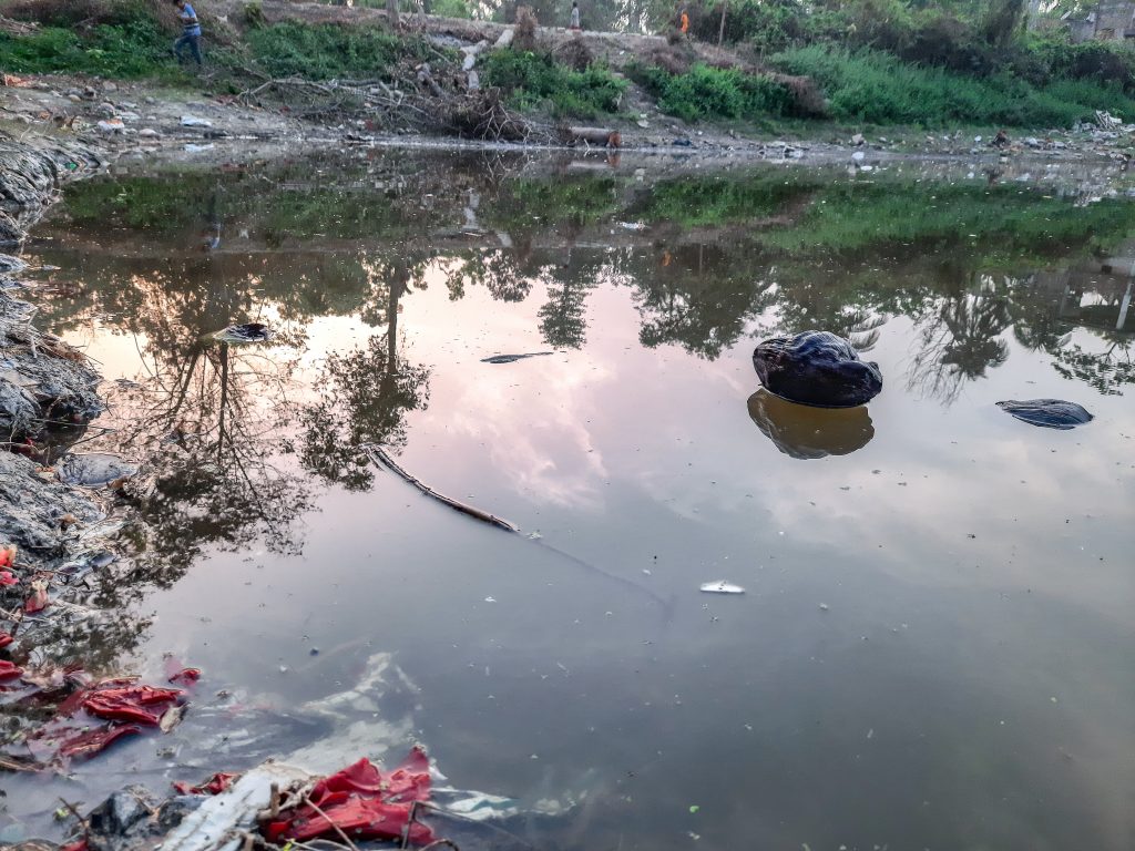 Water pollution in a pond PixaHive