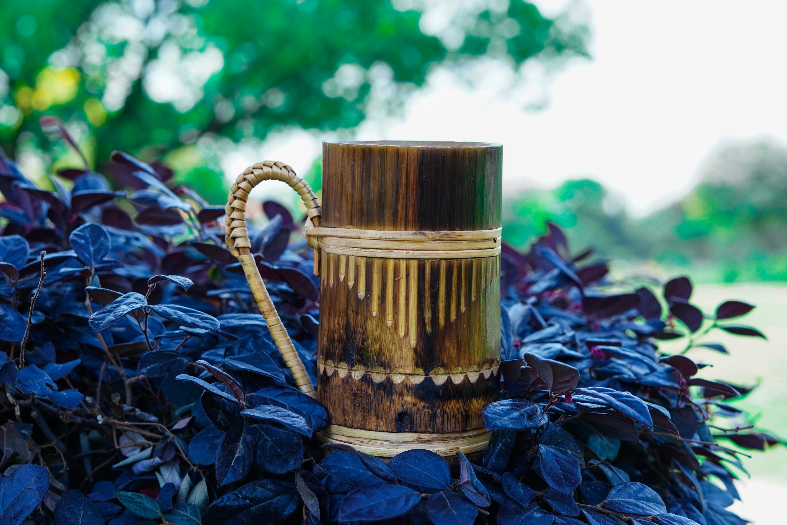 Wooden mug on the plant leaves