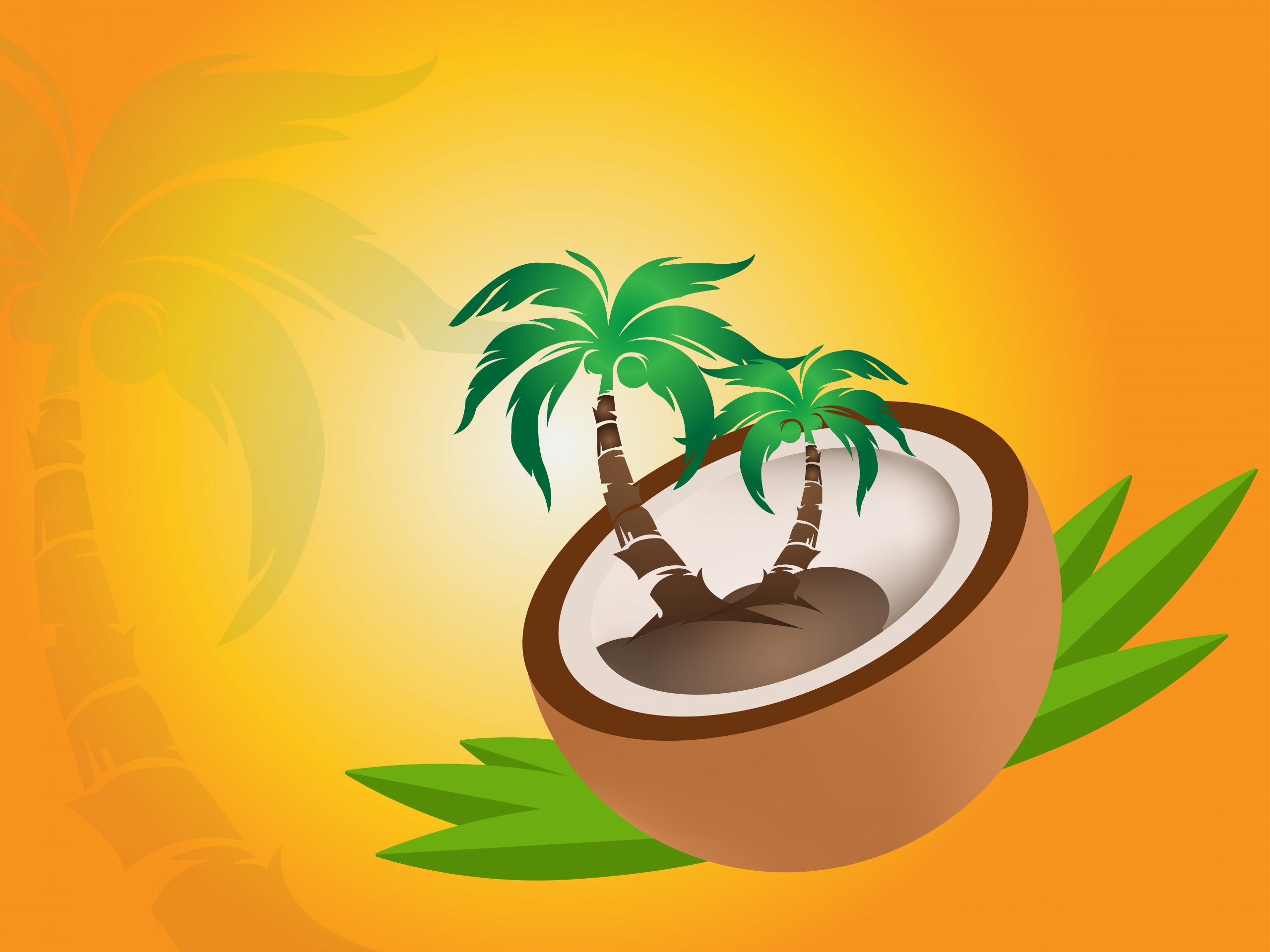 coconut-tree-illustration