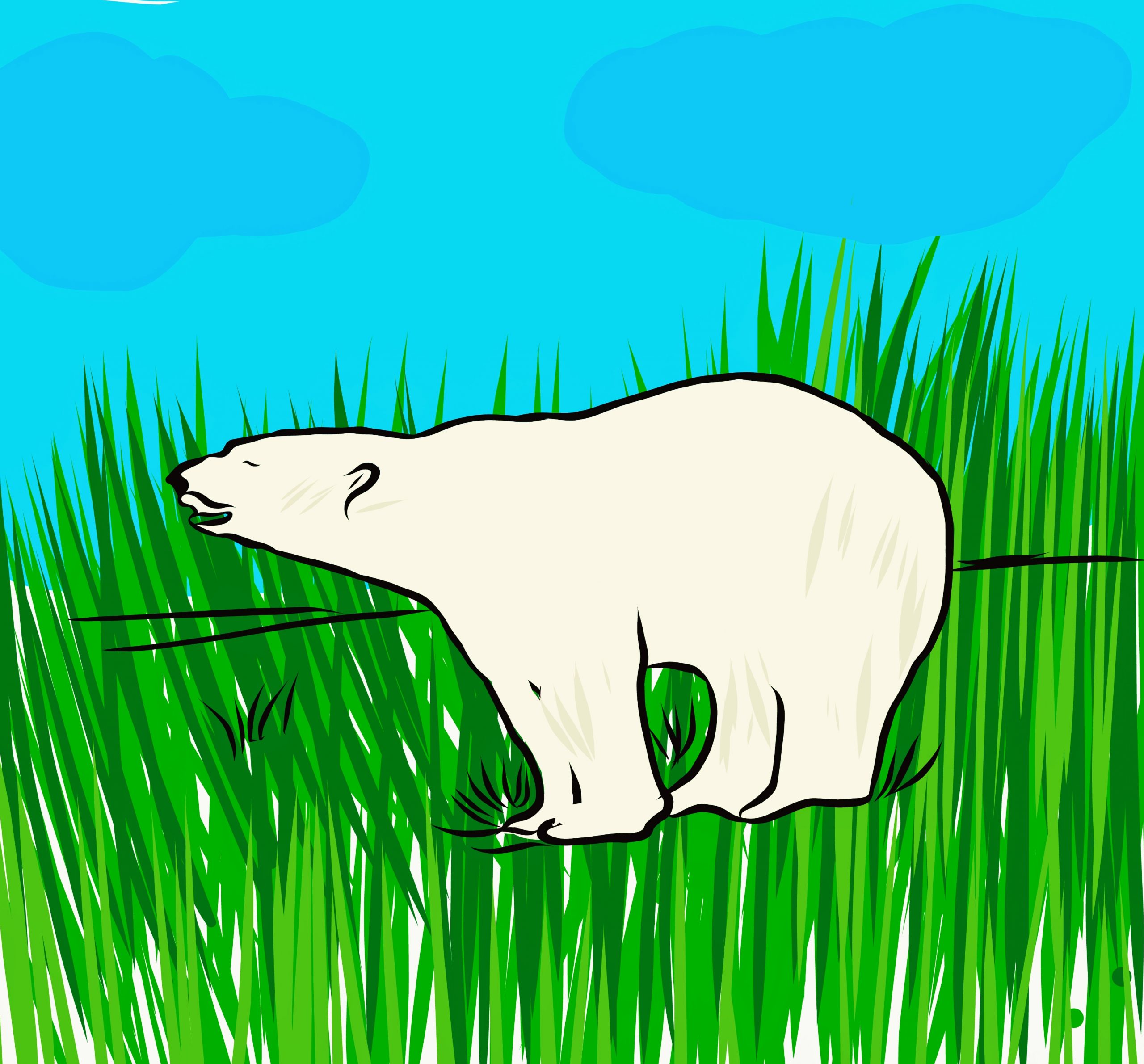 A bear illustration