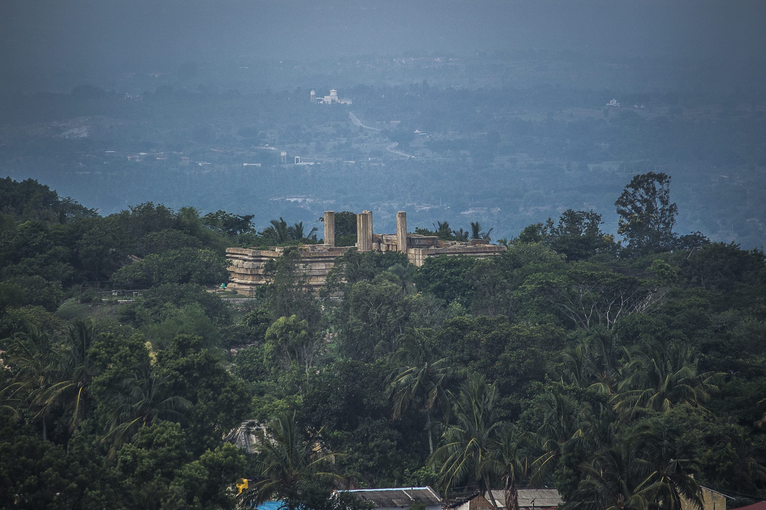 A building in a jungle