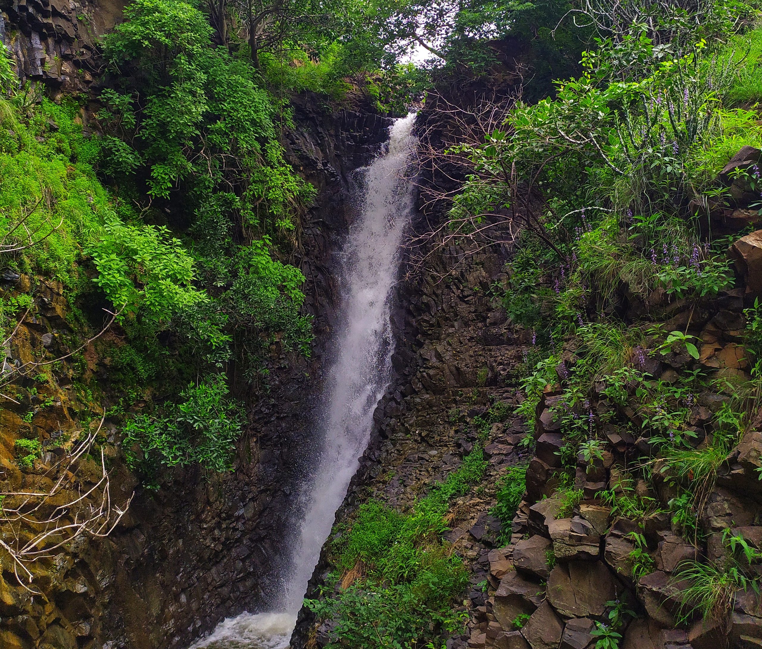 A narrow waterfall in a jungle