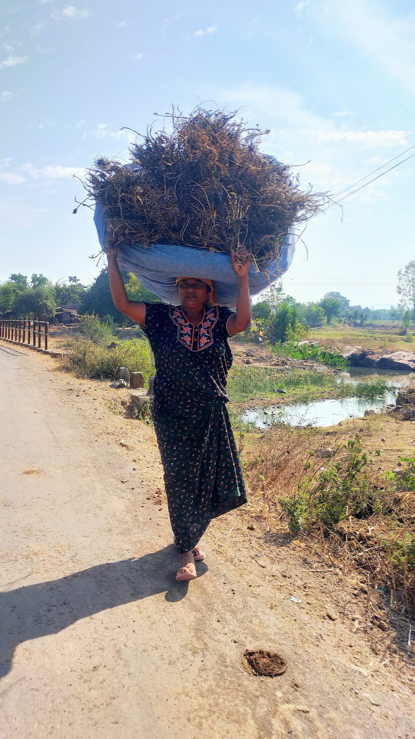 A village woman carrying animal fodder