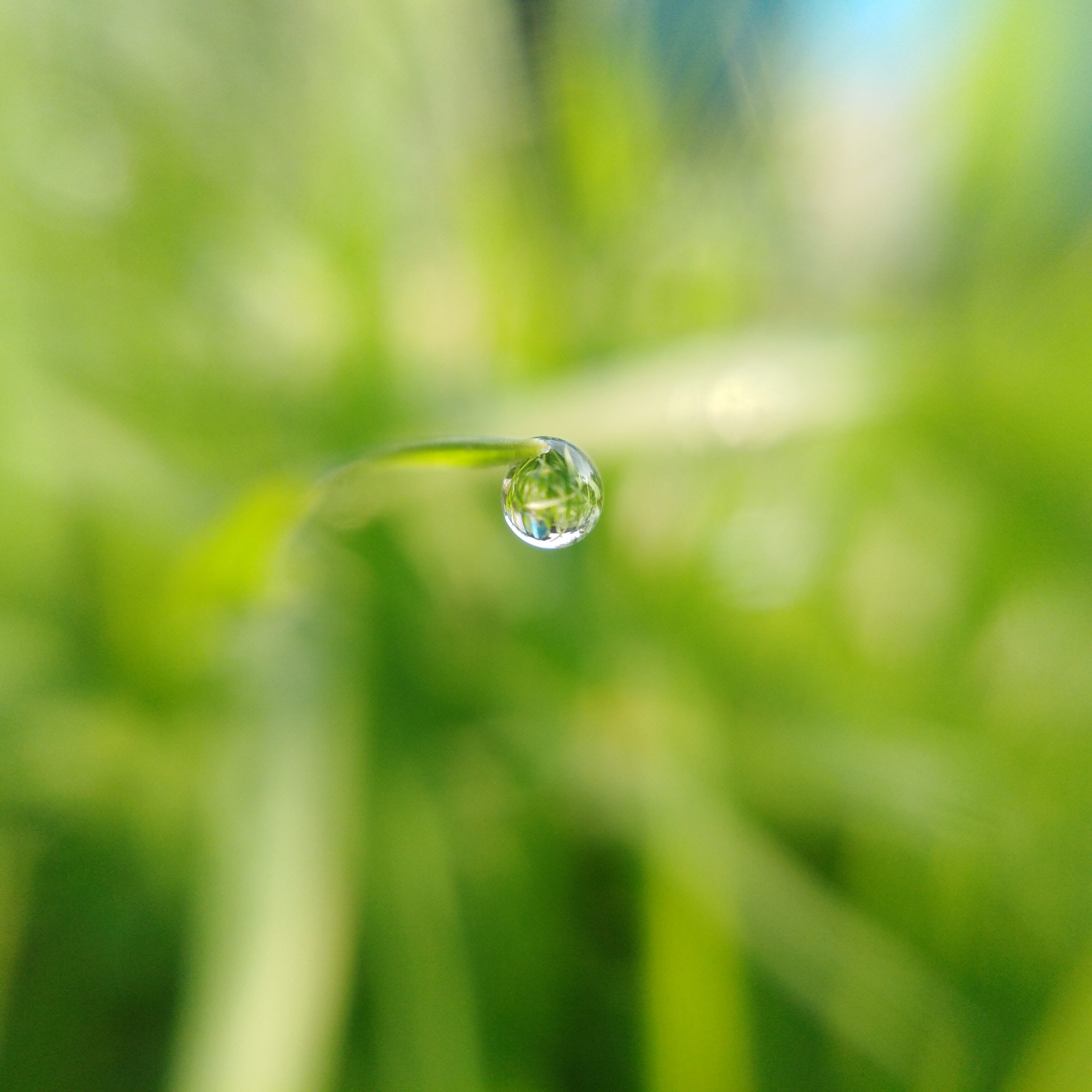 A water drop