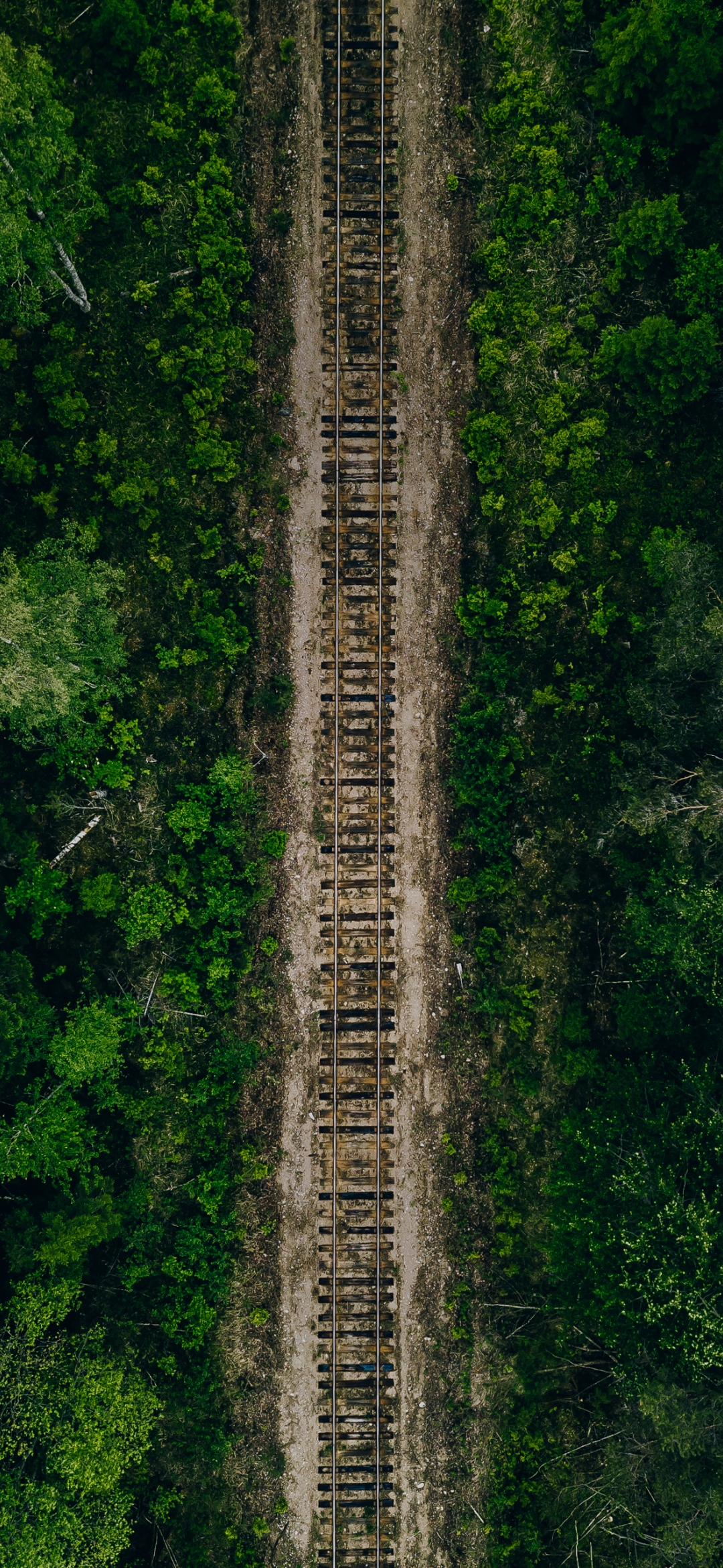 Aerial view of a railway track in a jungle