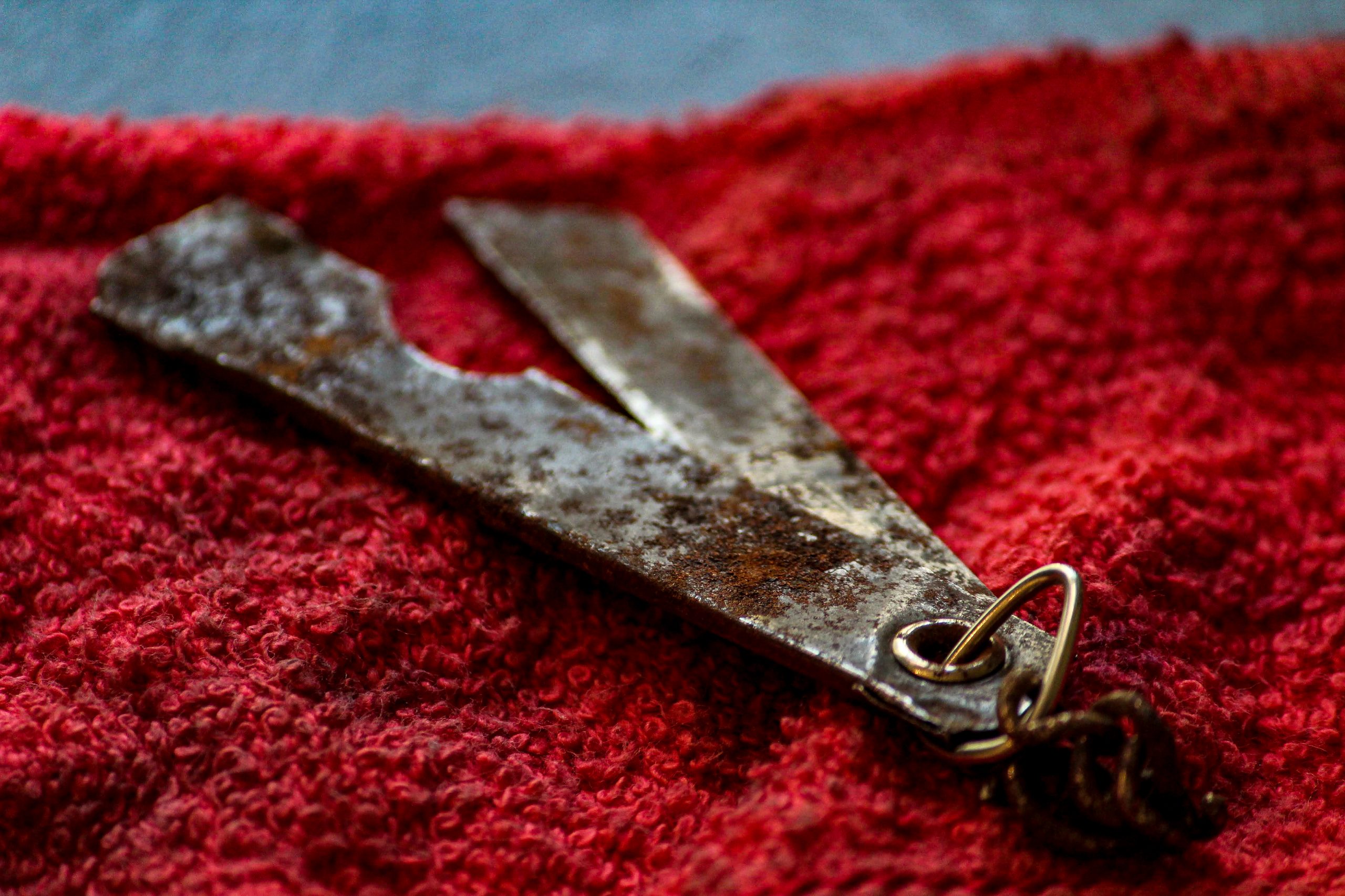 An old cutter blade