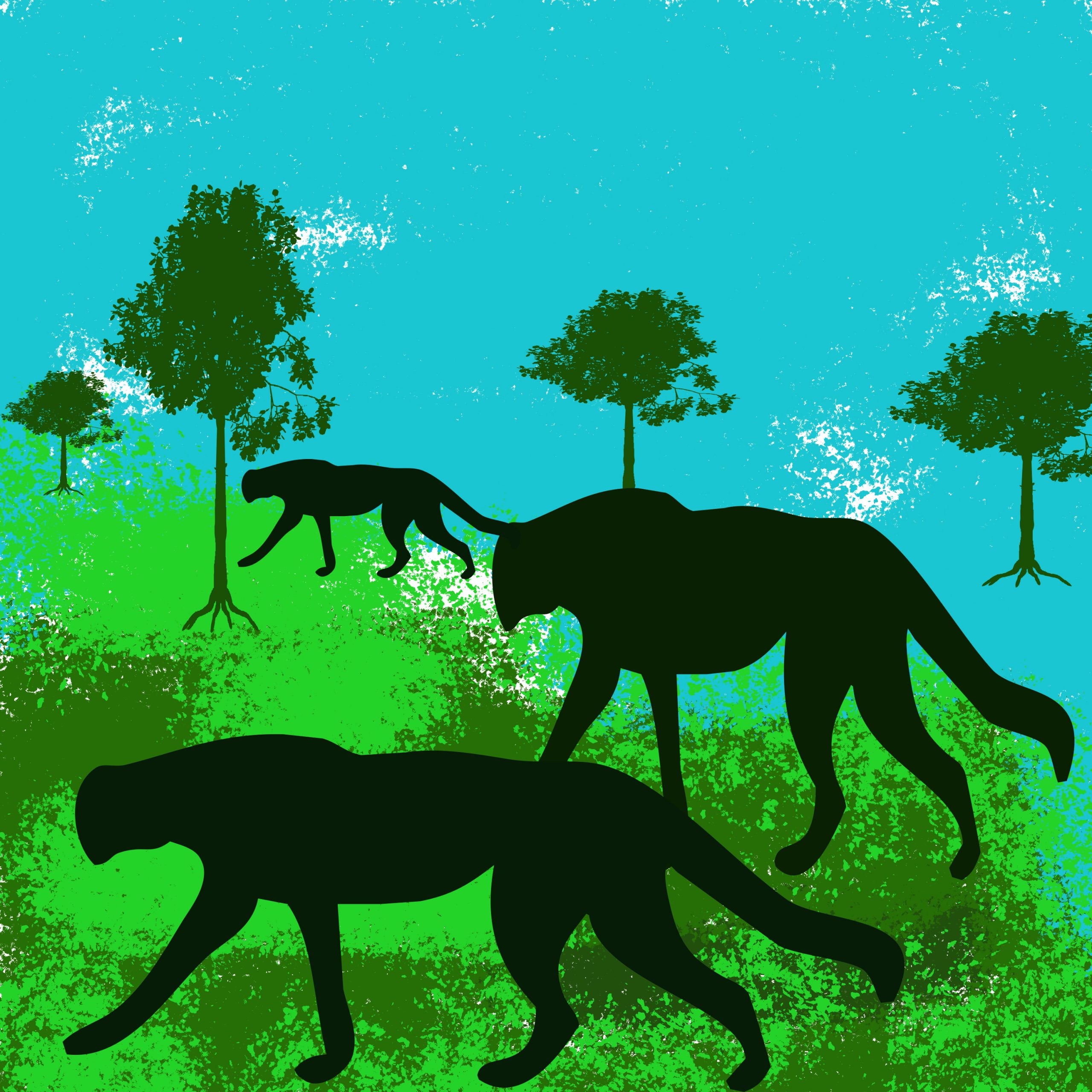 Animal illustration