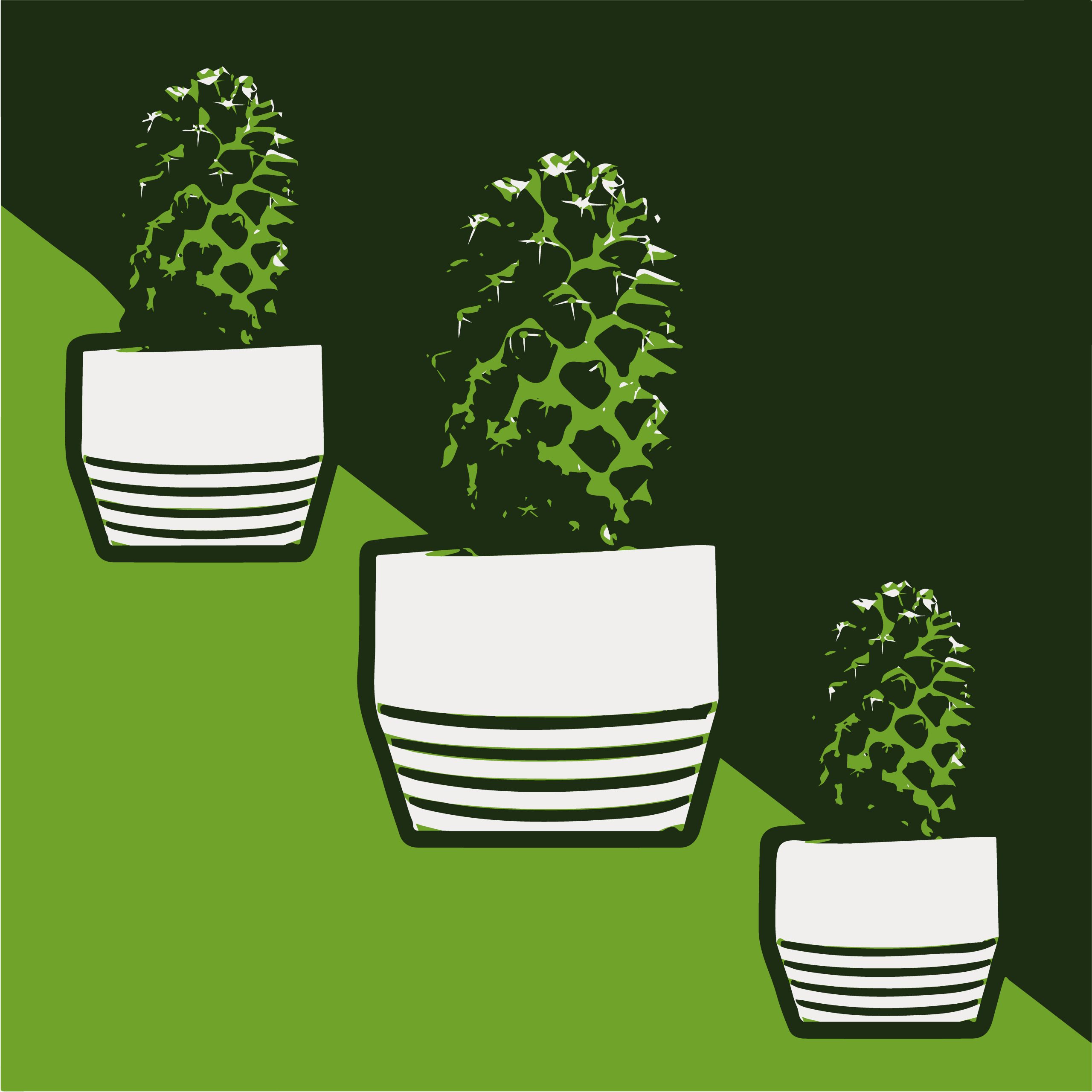 Cactus houseplants illustration