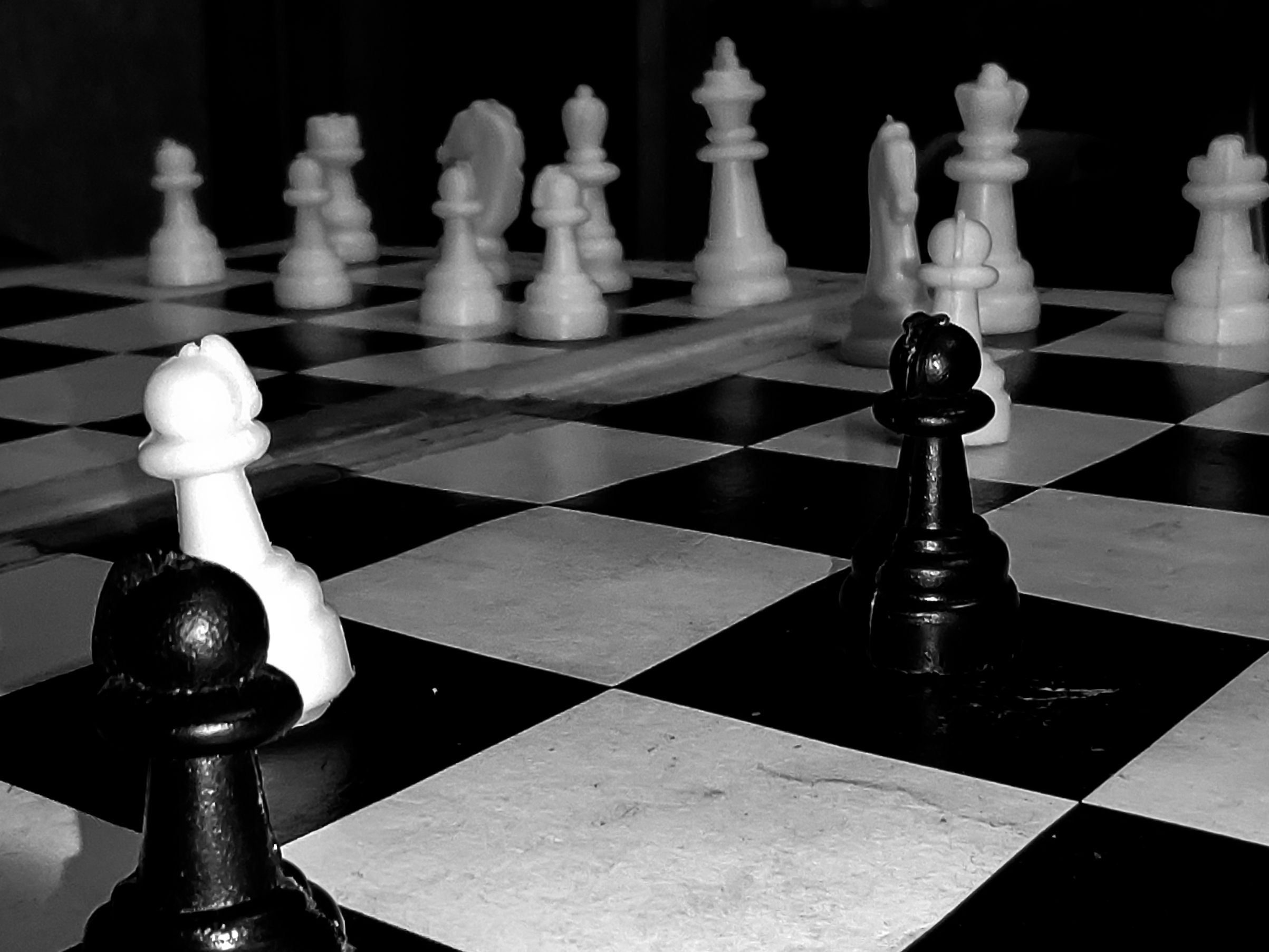 Chess pieces on a chess board