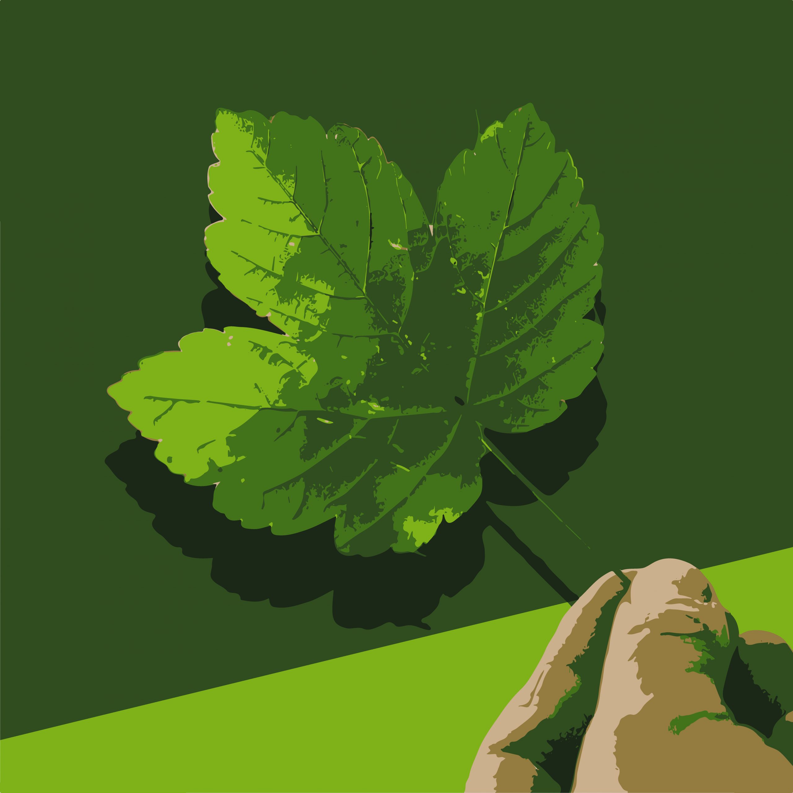 Holding a green leaf