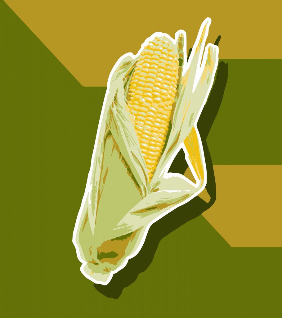 A corn cob - Free Image by NIKHIL BOMBATKAR on PixaHive.com