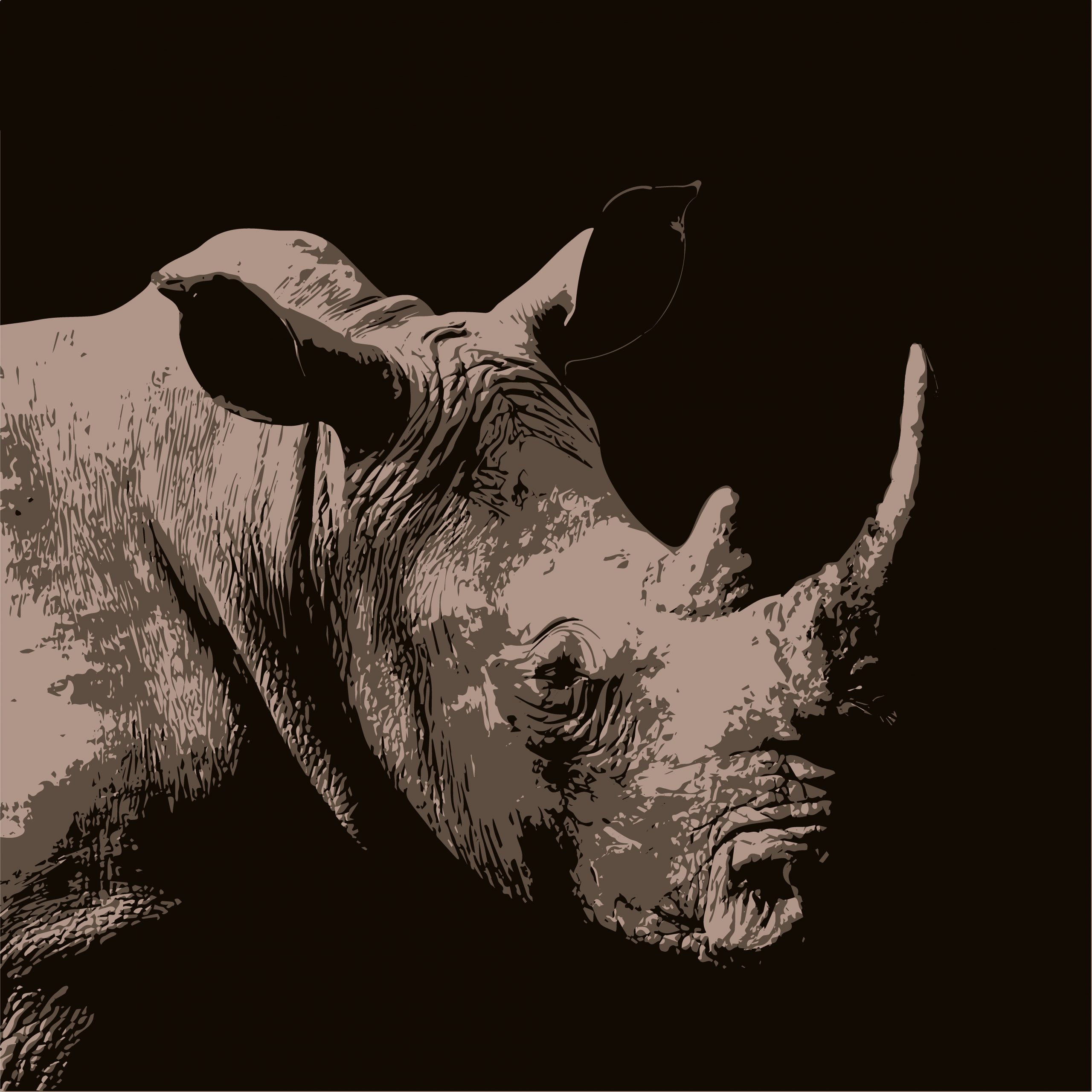 Illustration of Rhinoceros