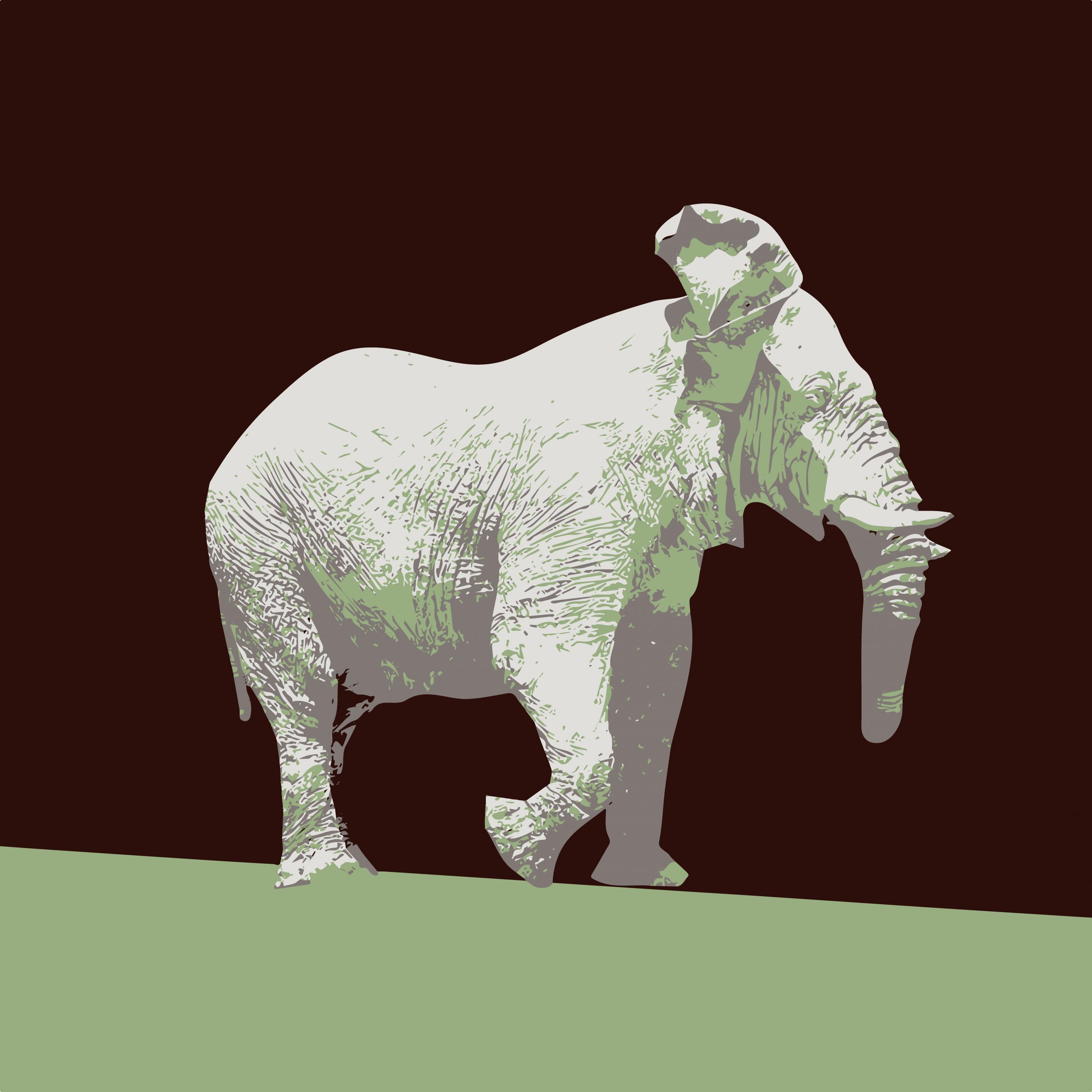 Illustration of a white elephant