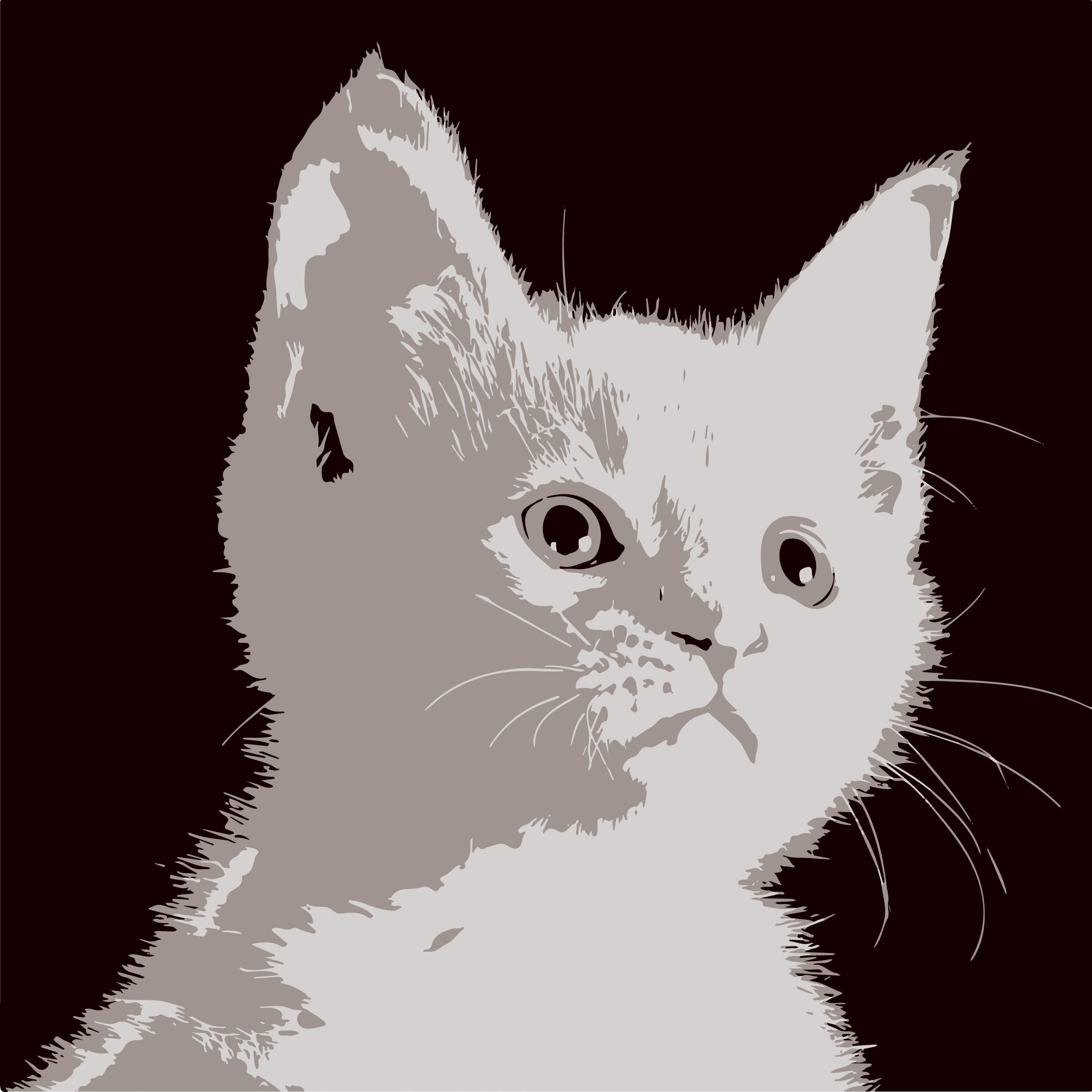Illustration of a white cat