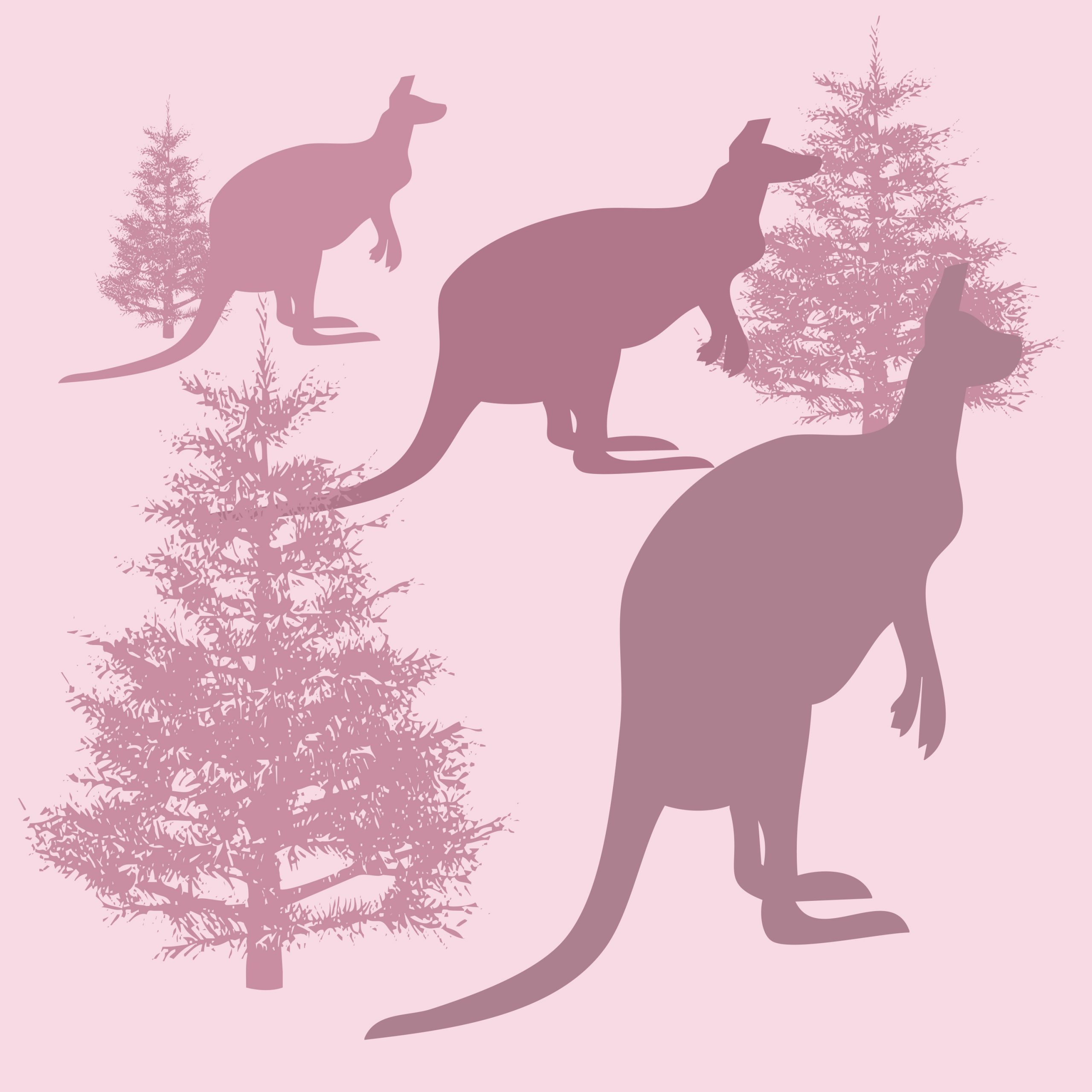 Kangaroo illustration