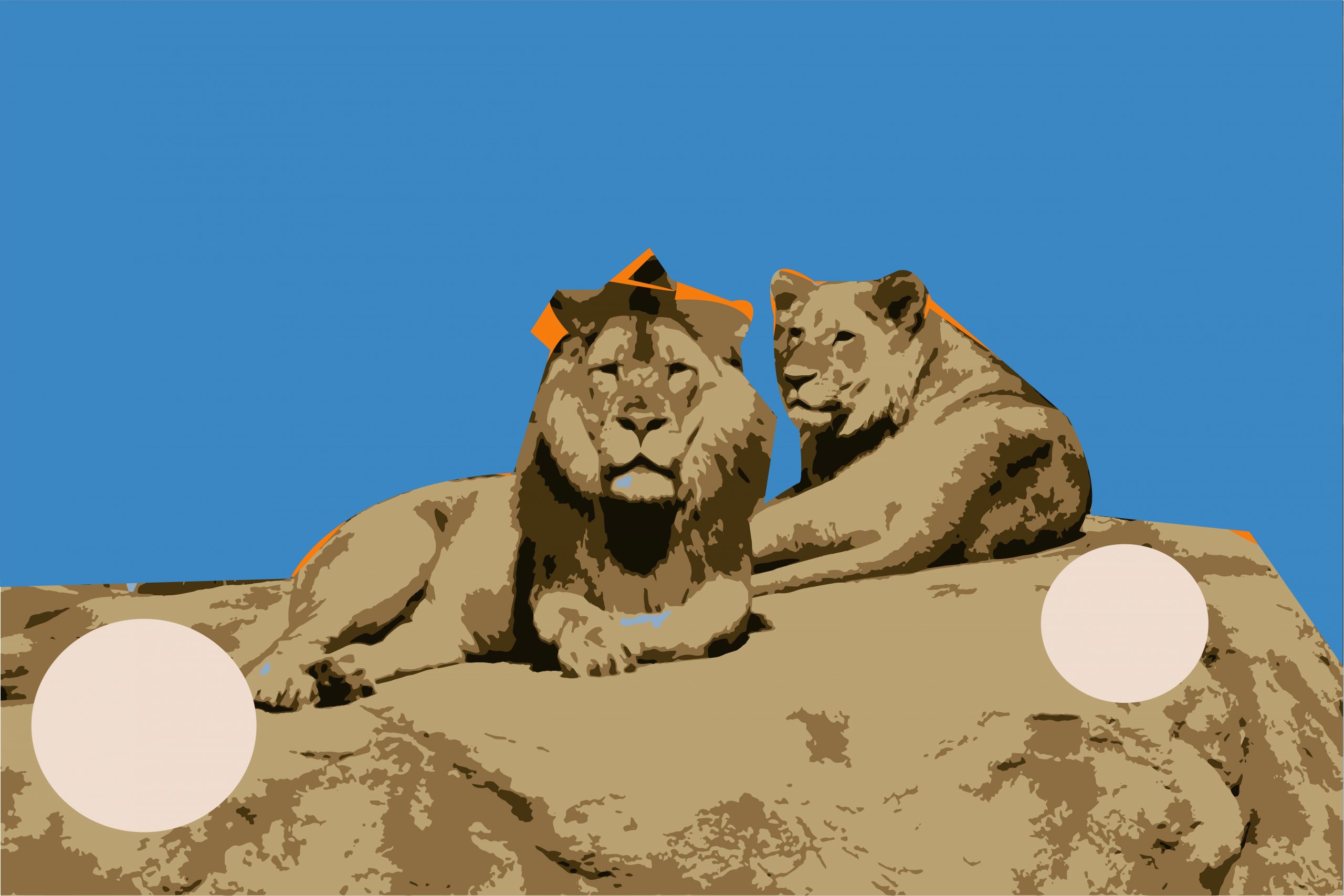 Lion king illustration