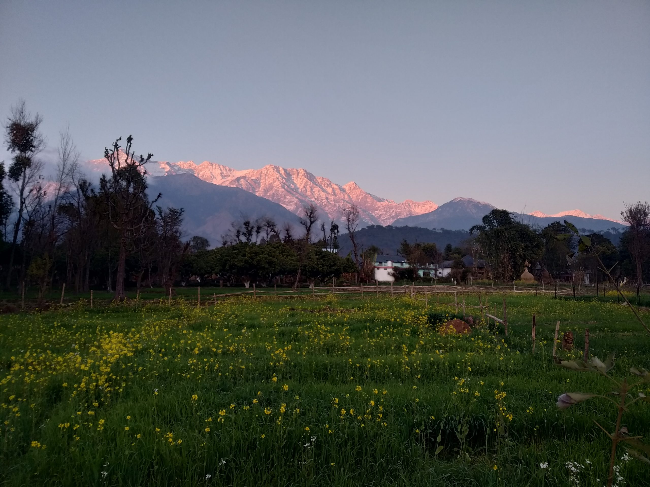 Mountains and agriculture field