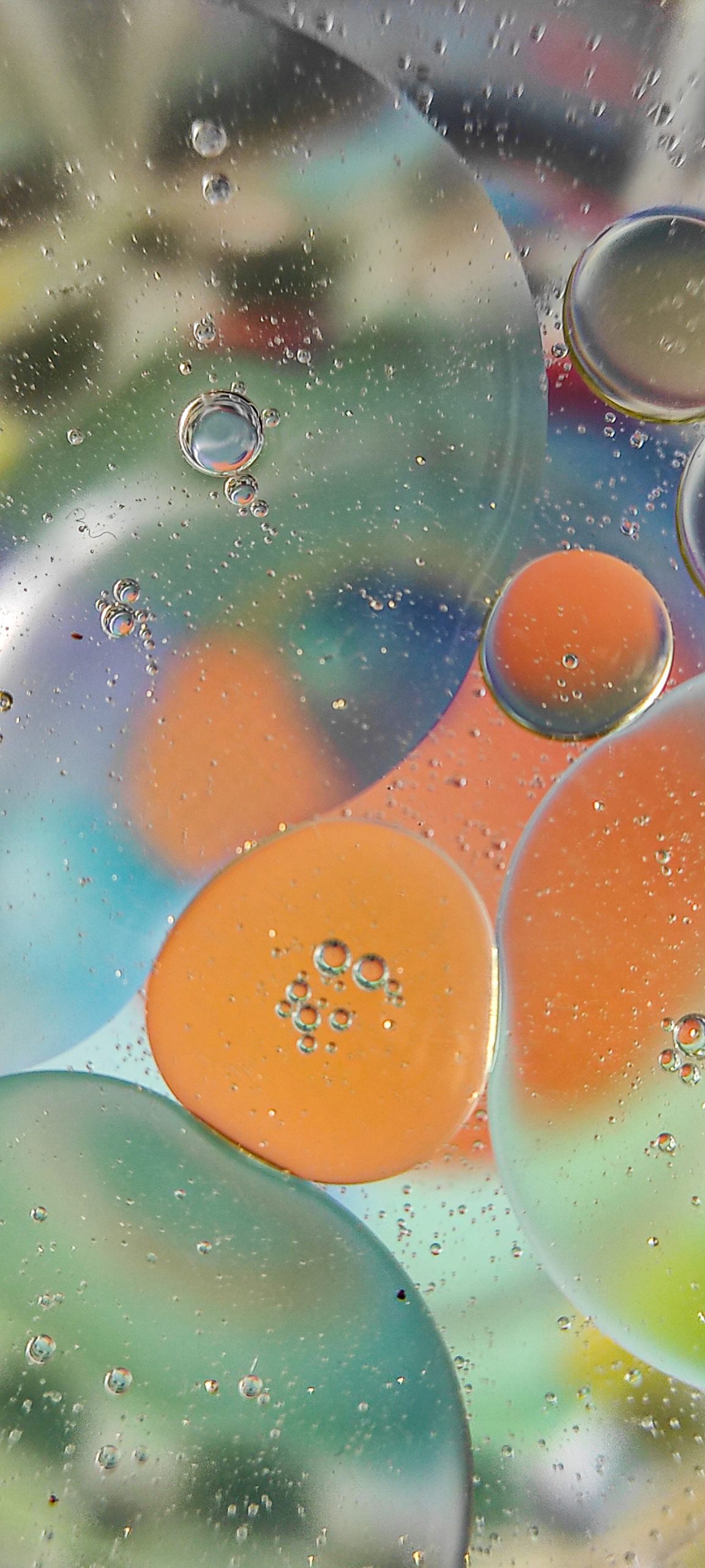 Oily bubbles in water