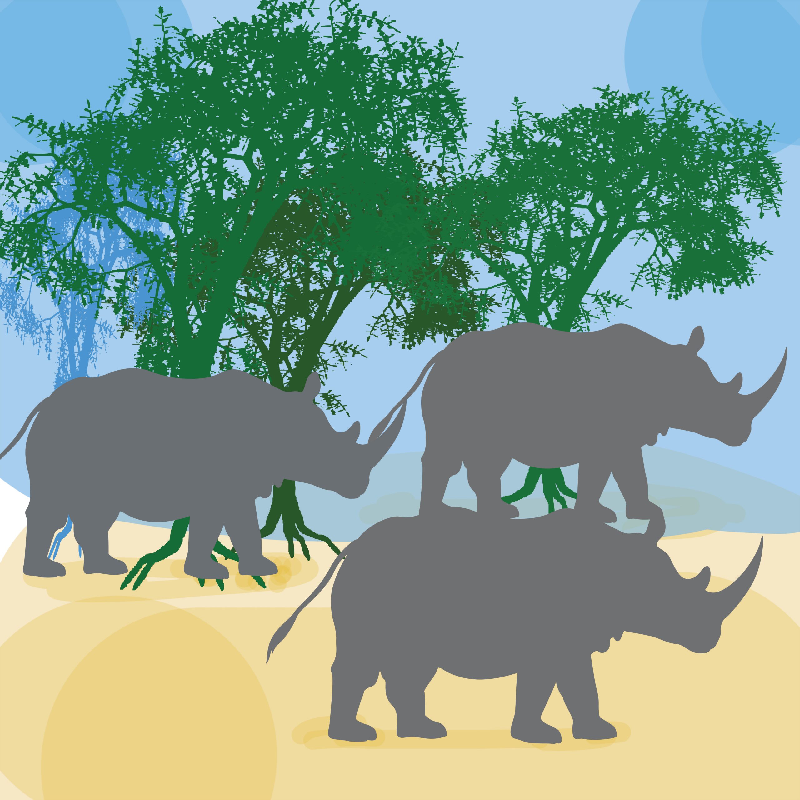 Rhino illustration