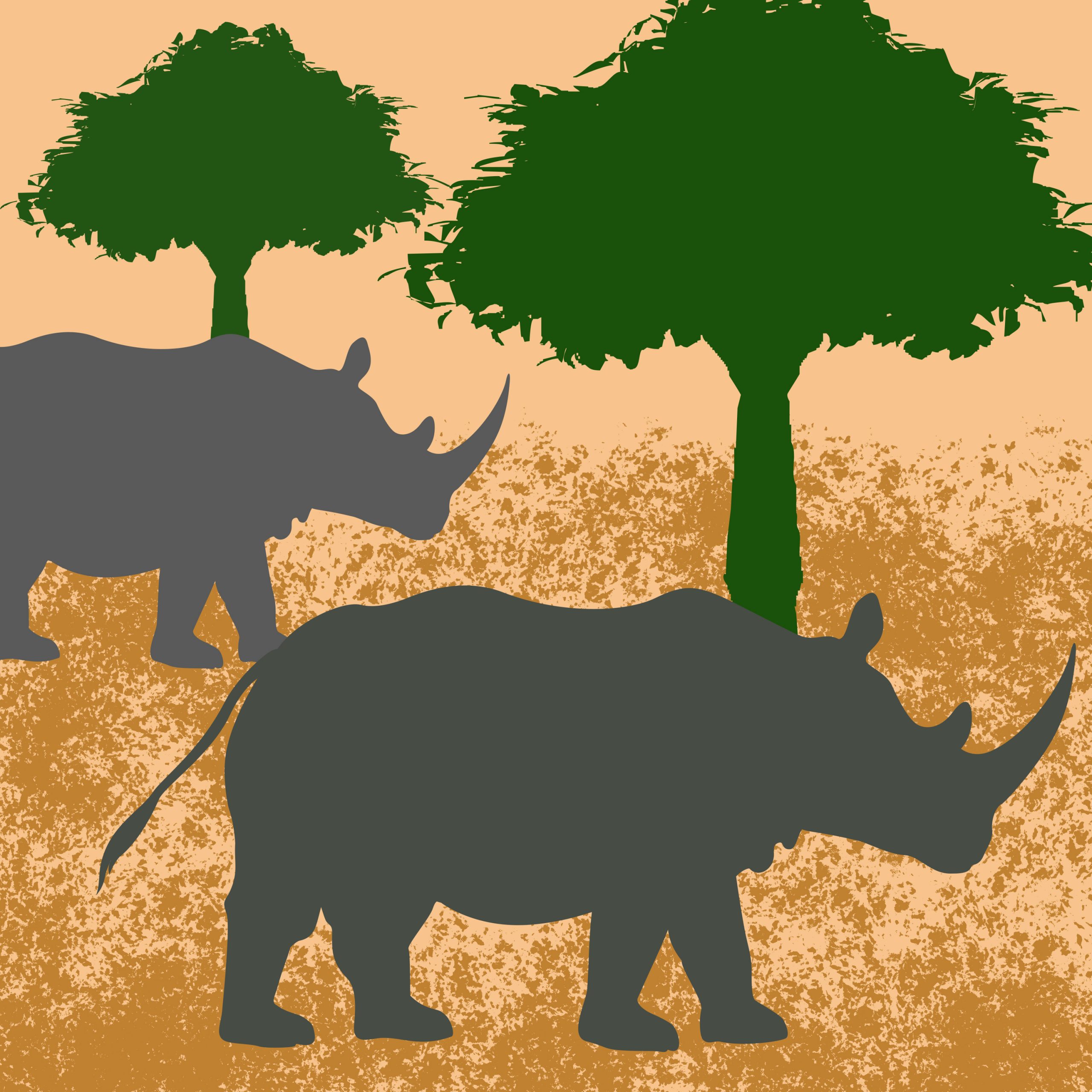 Rhinoceros in a jungle