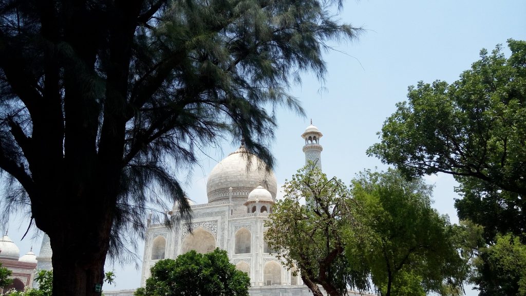 The taj behind the tree - PixaHive