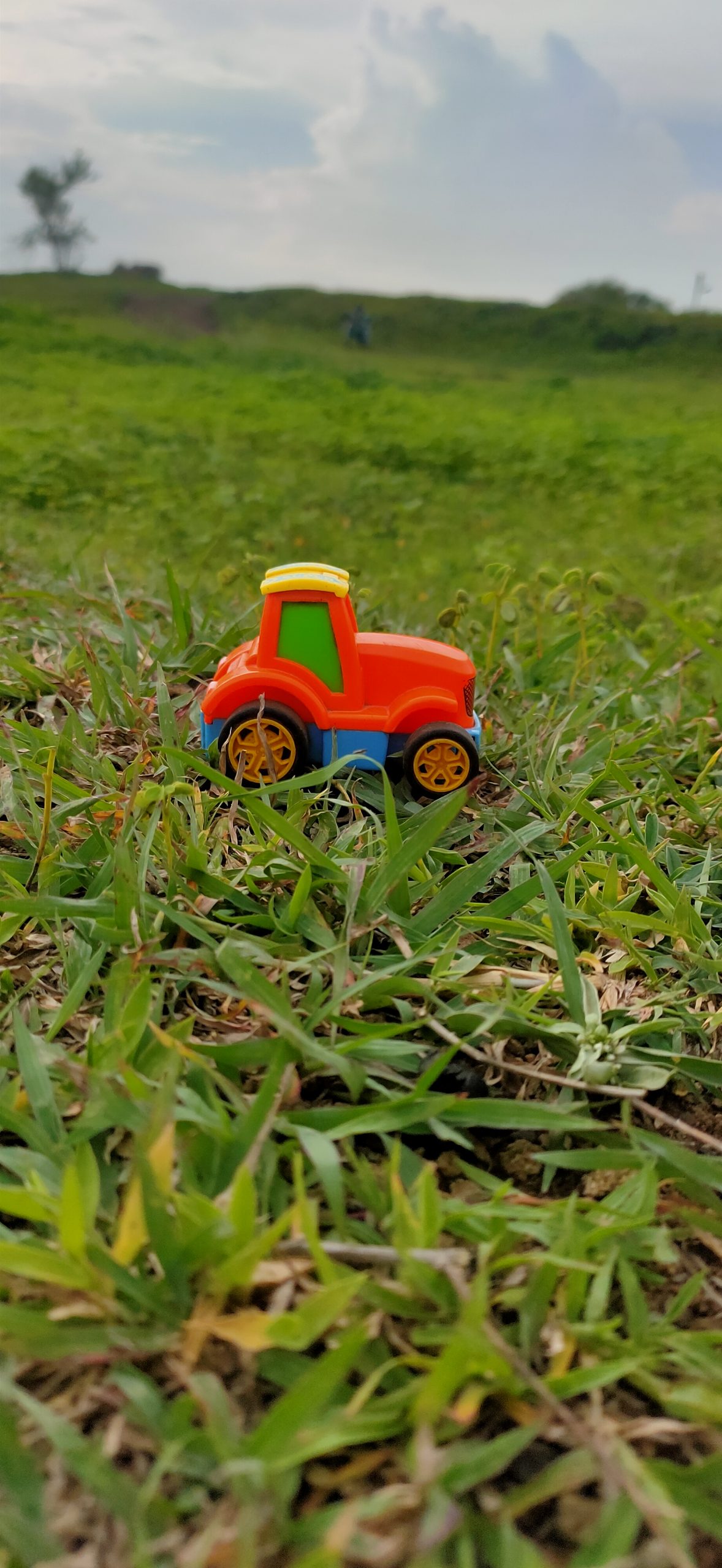 Toy Car in the grass