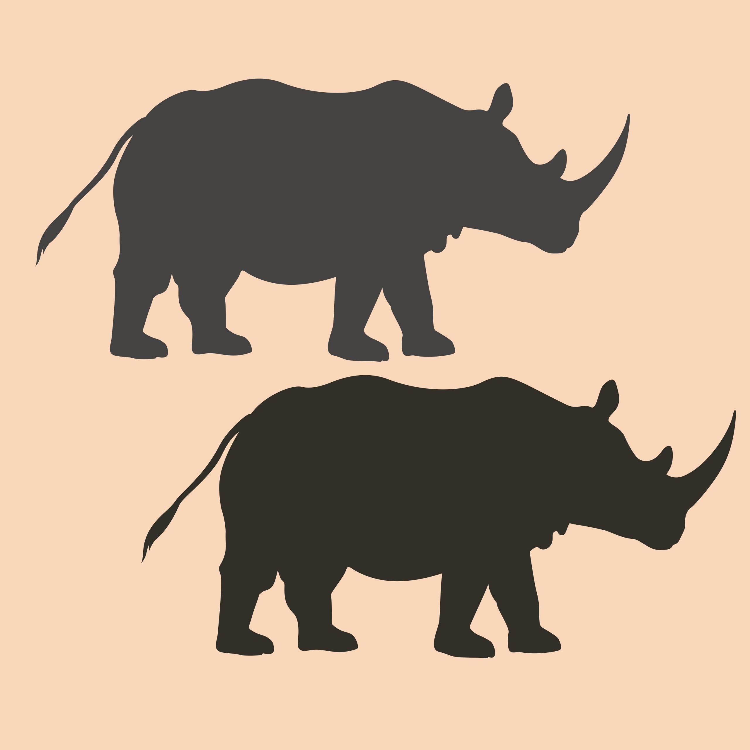 illustration rhino