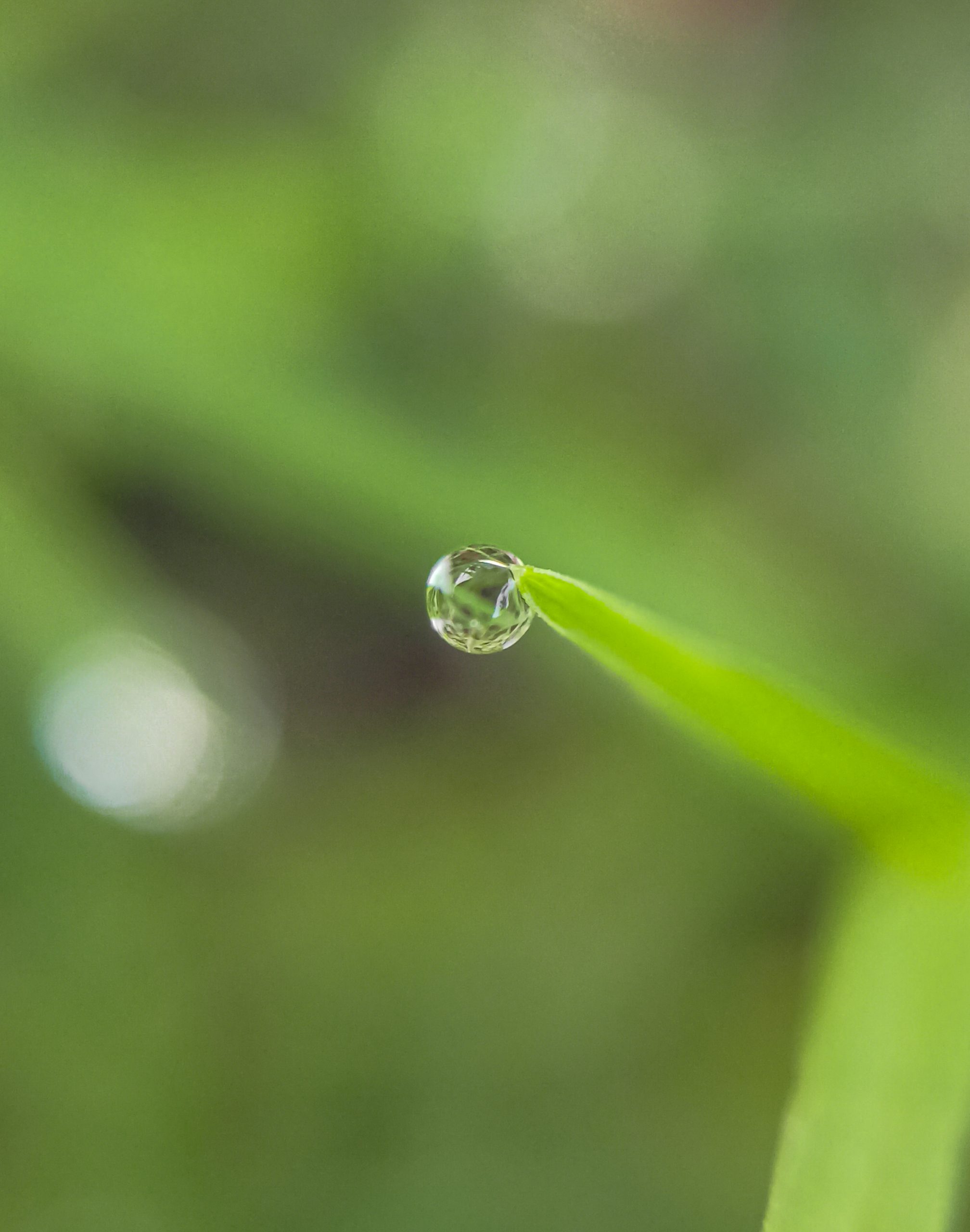 A droplet