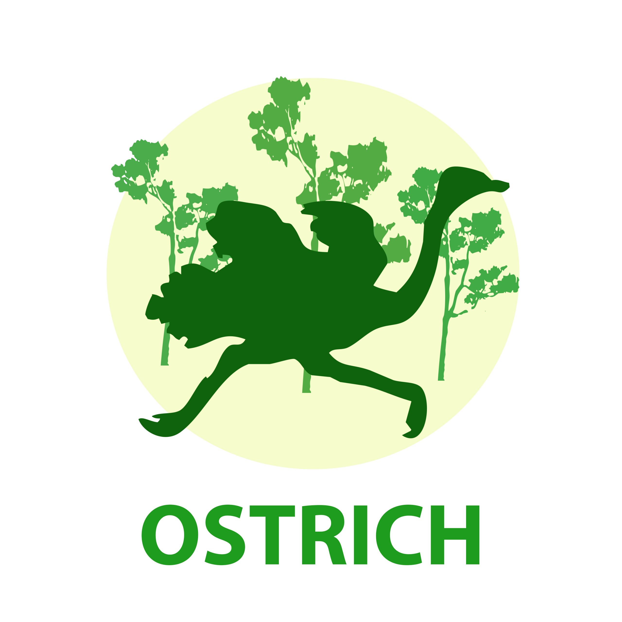 An ostrich illustration