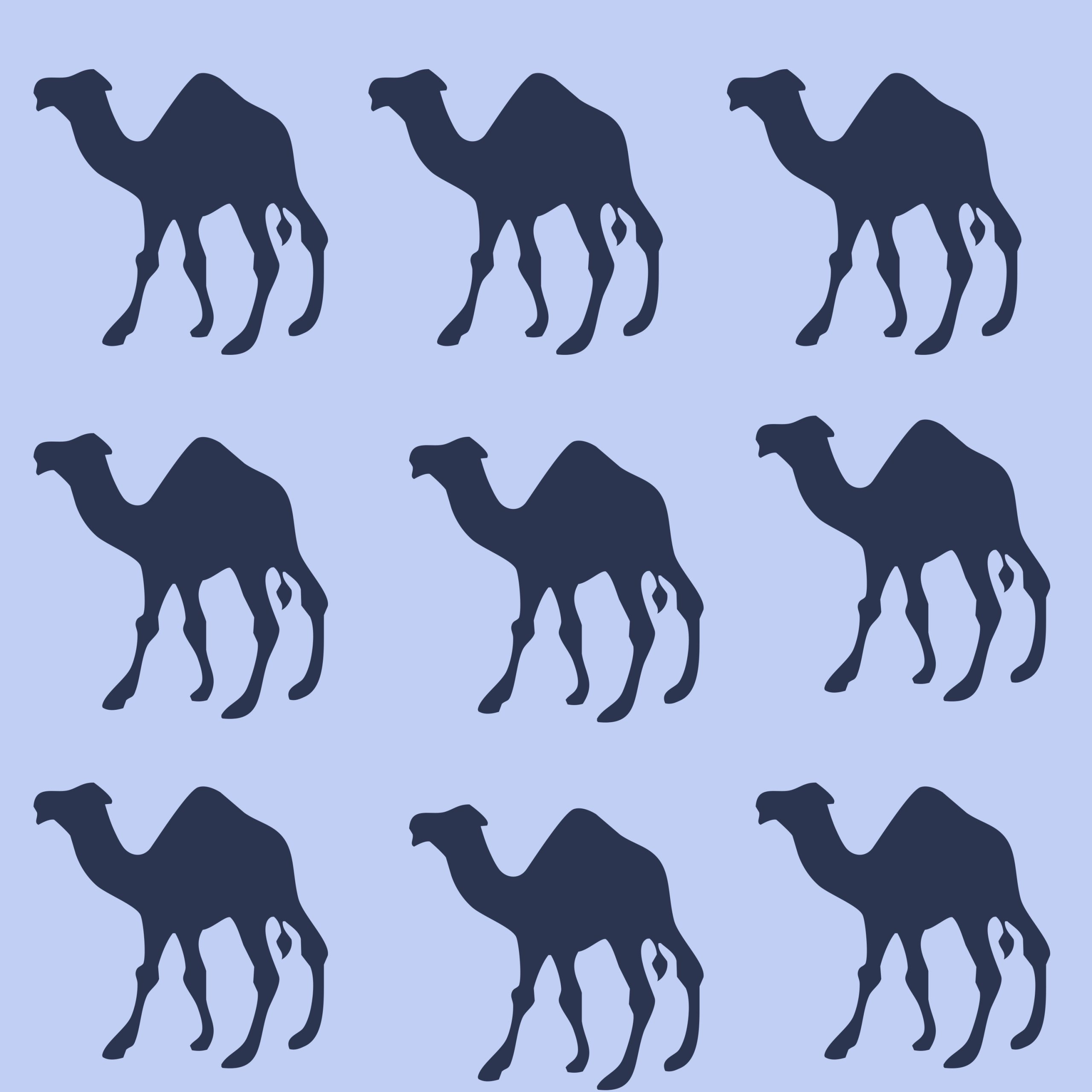 Camel illustration