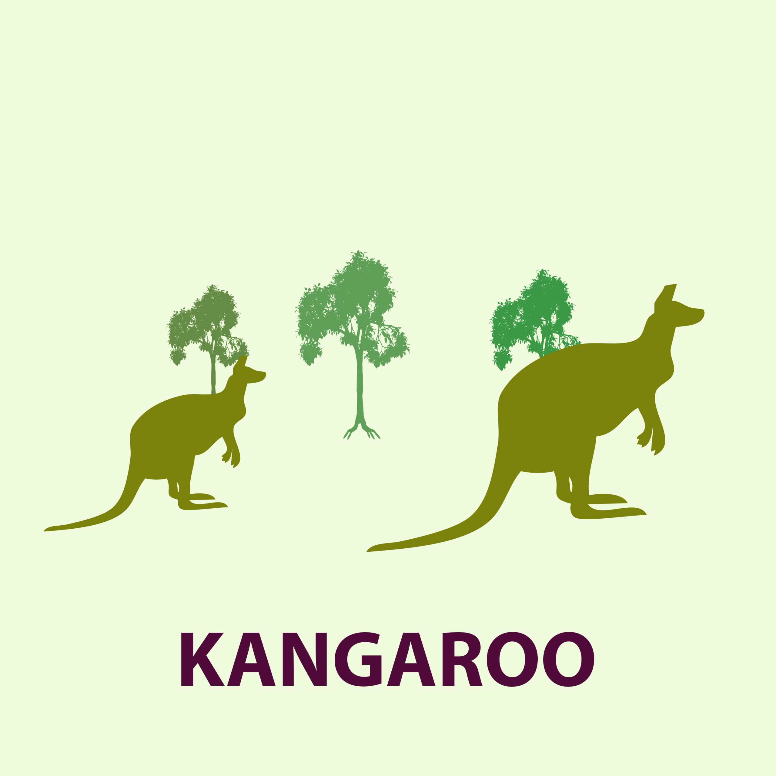Kangaroo illustration