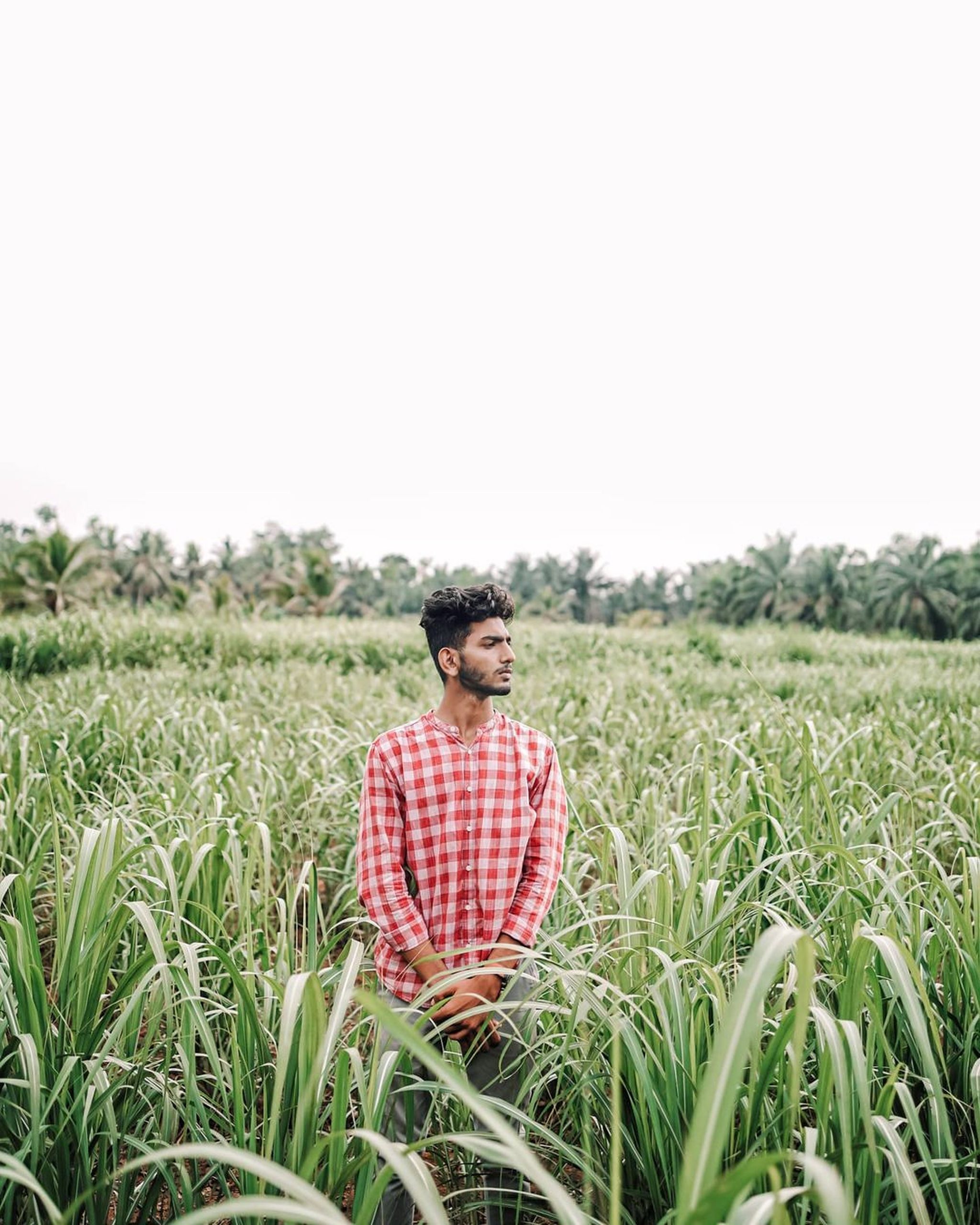 Boy standing in the crop farm and posing