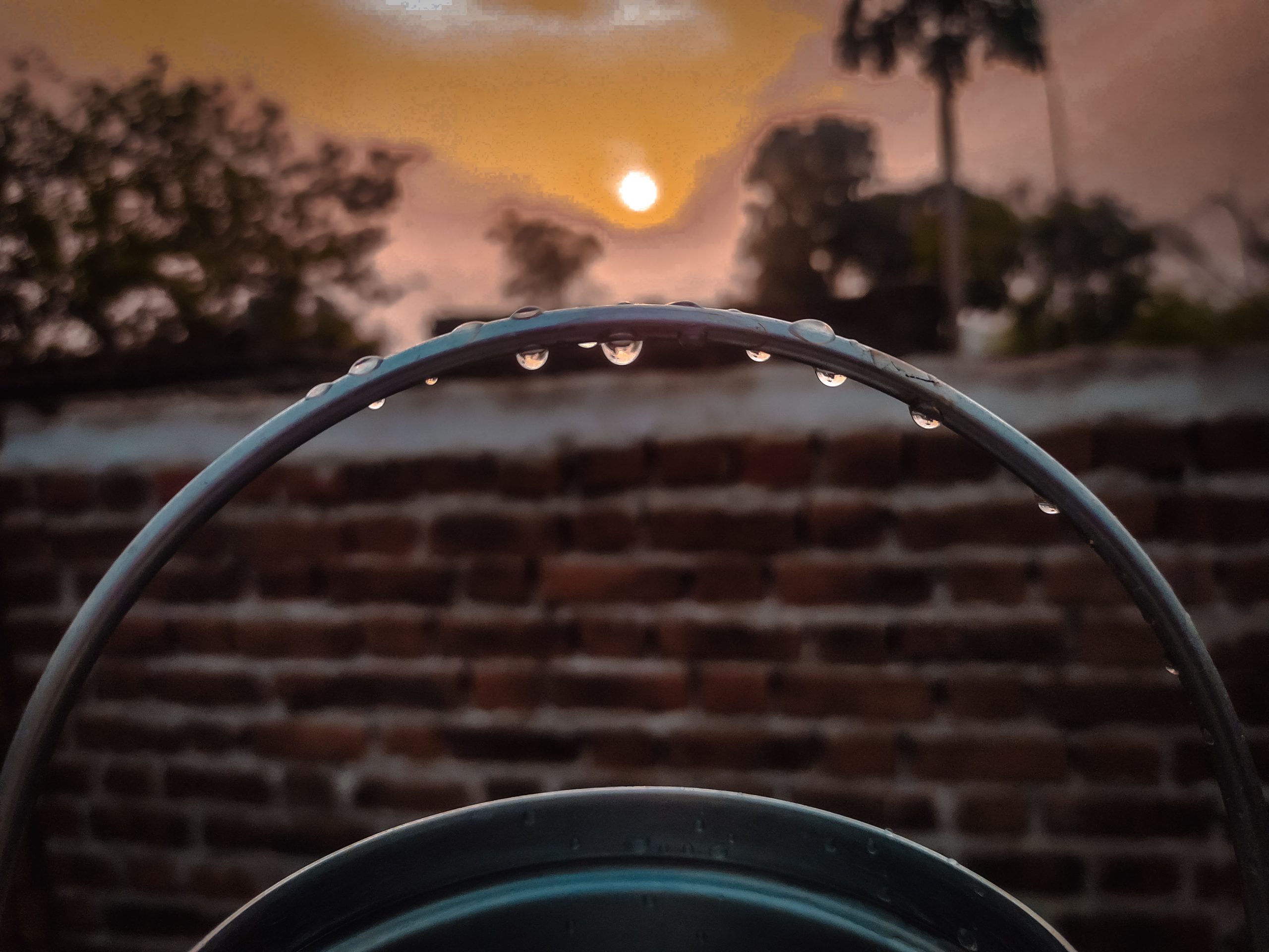 Sunset and water drops on a ring
