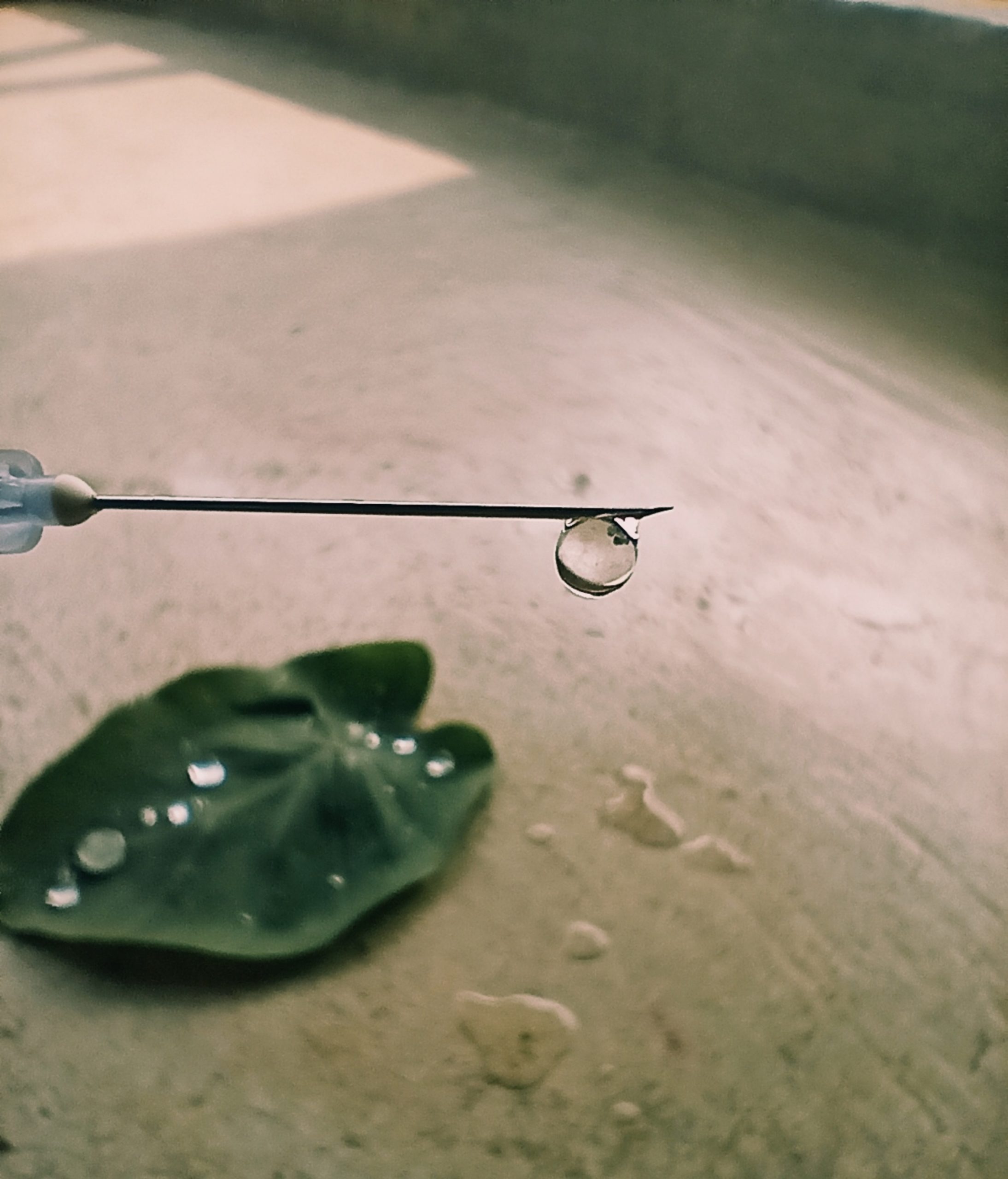 Water drop on syringe